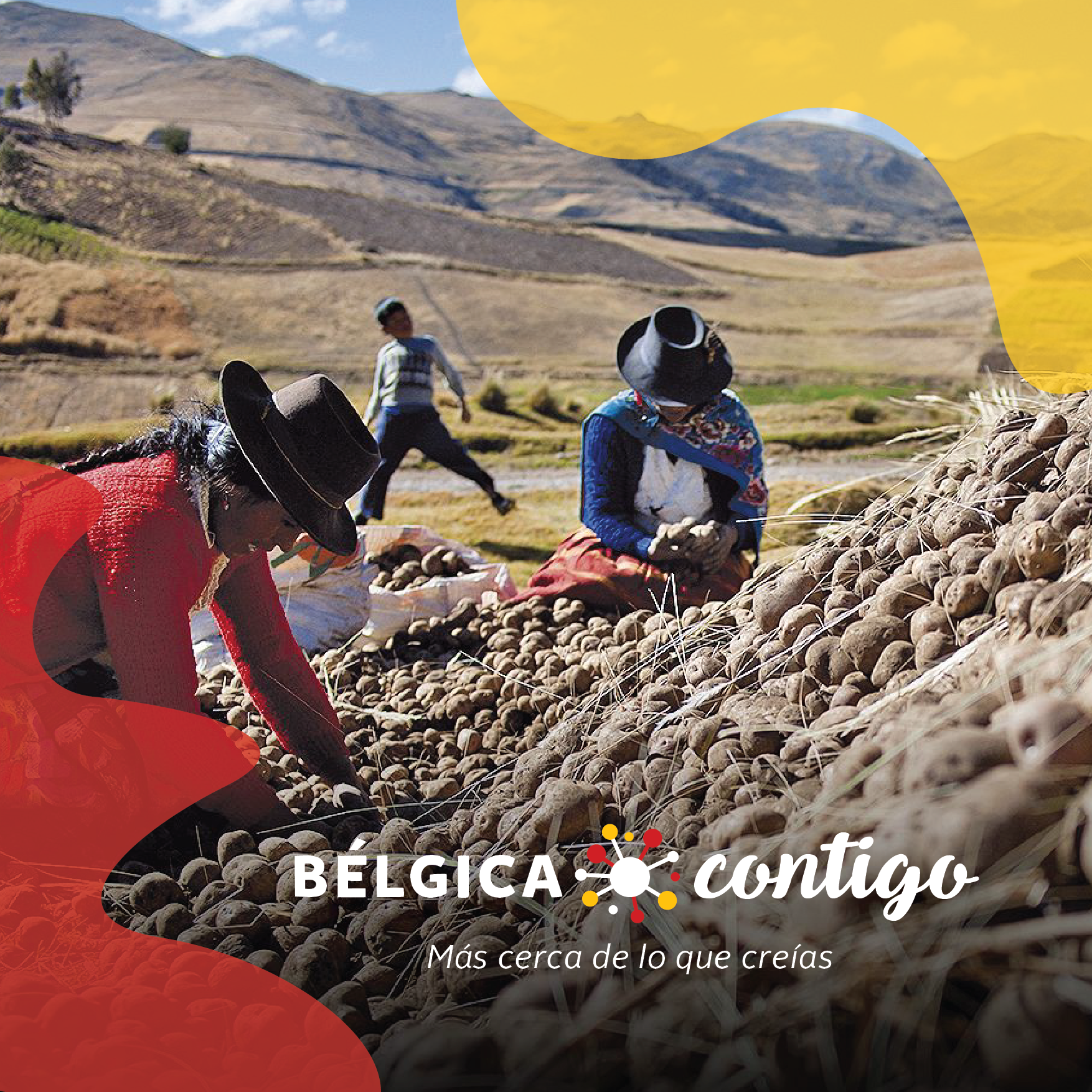 Belgica_contigo-25.png