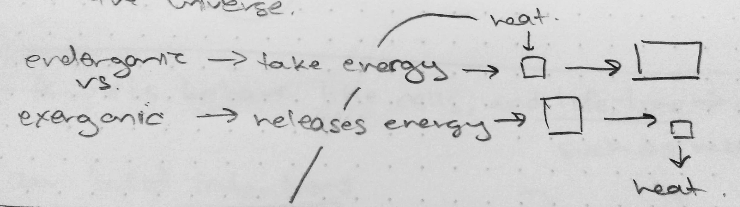 Endergonic (first line) vs. exergonic (seconf line) processes. Exergonic reactions are favored by the universe because they are spontaneous and don't require additional energy to occur. Endergonic reactions are not spontaneous and do require energy to occur.