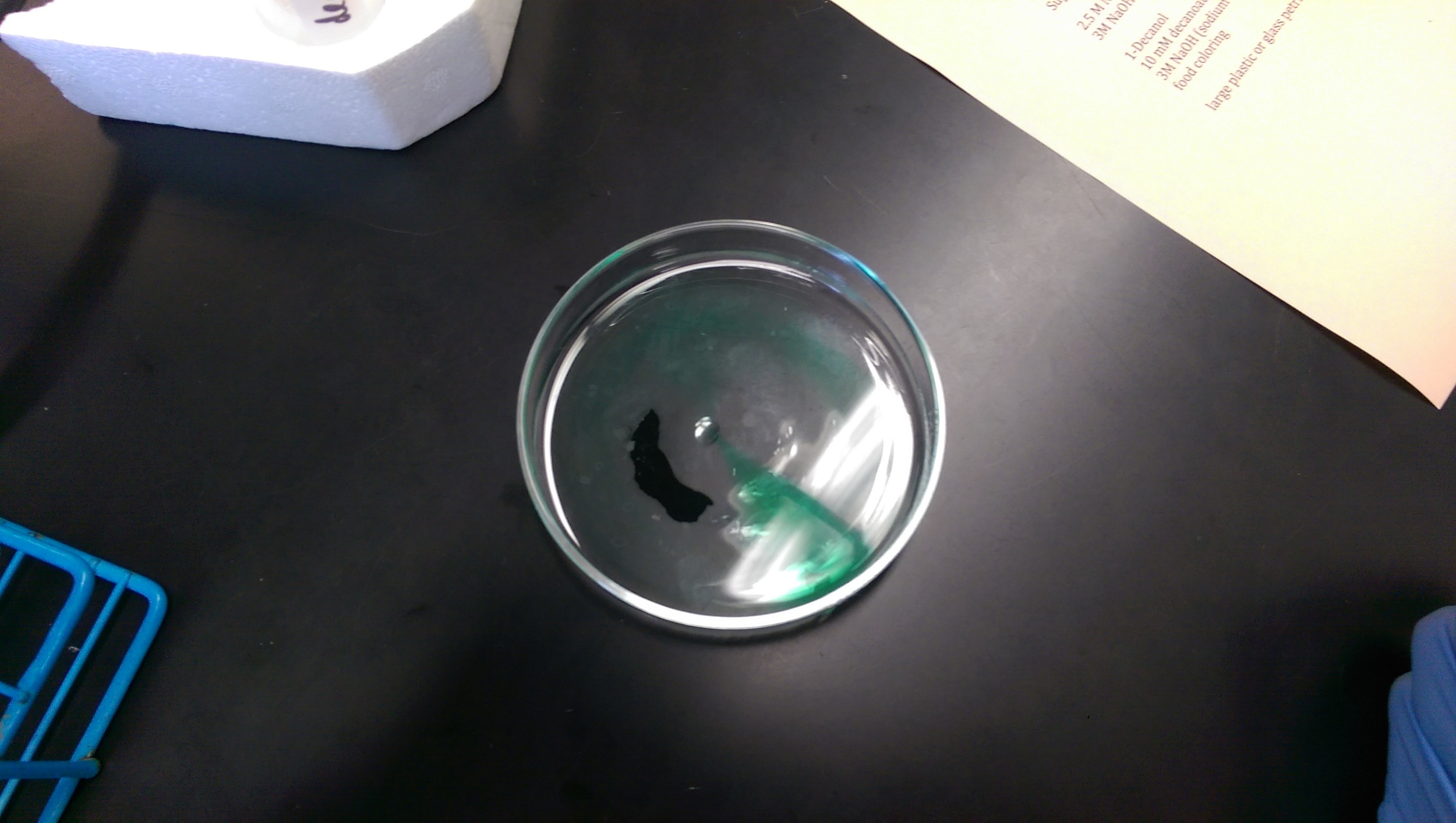Chemotactic movement of deconal droplet in response to concentration gradients of NaCaL.
