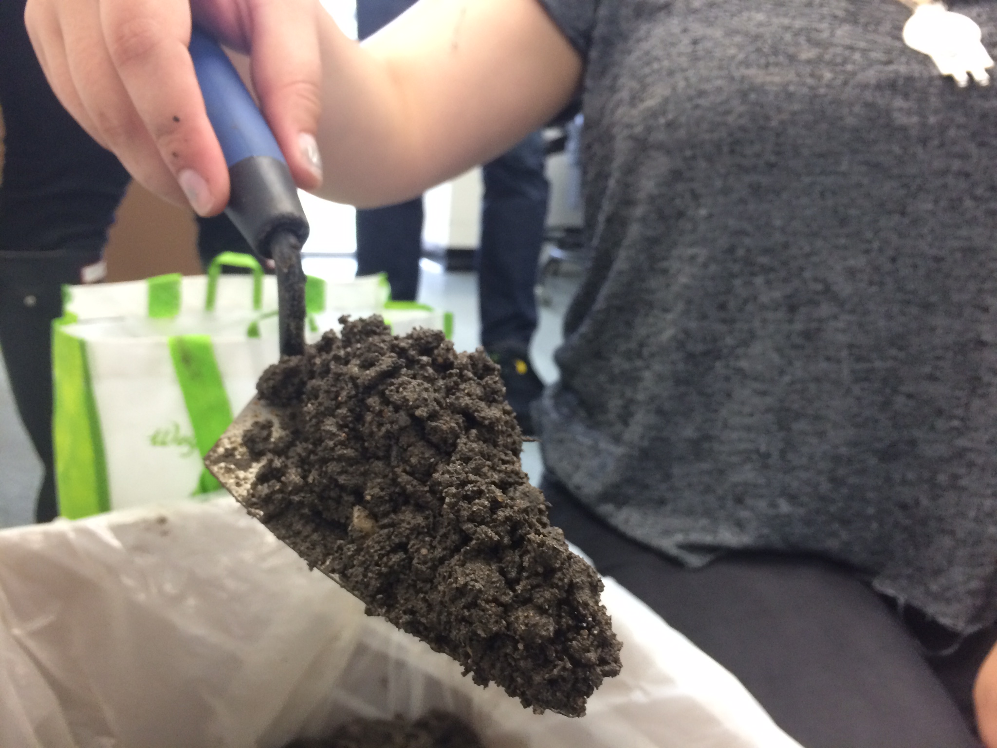 Potting Soil Mix