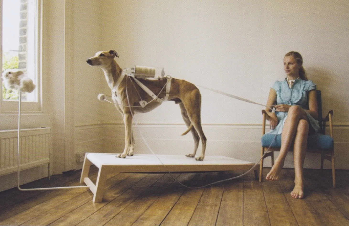 Revital Cohen, Respiratory Dog , 2008, from the series Life Support