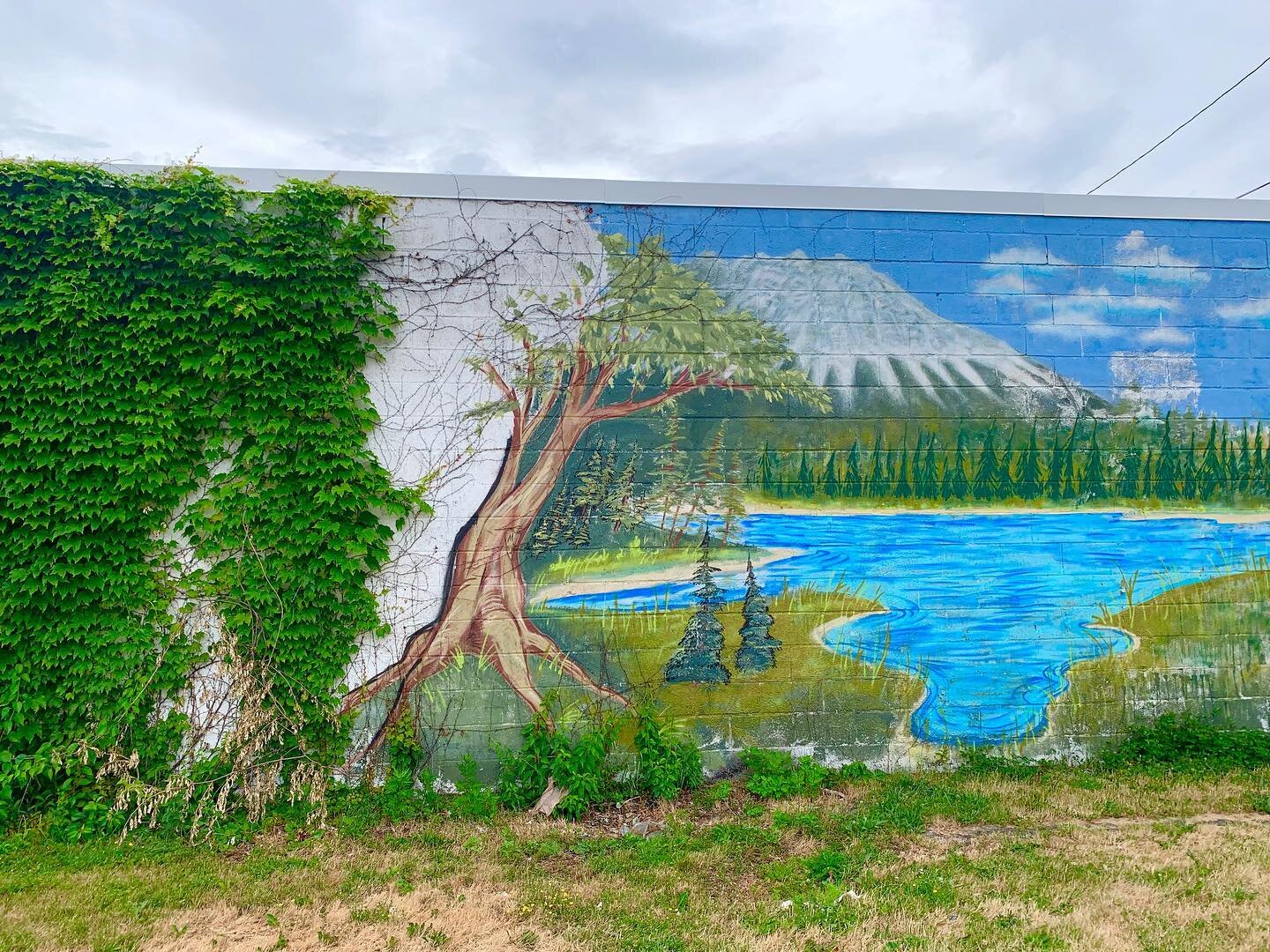 #RocNArt Share your favorite Rochester murals🎨