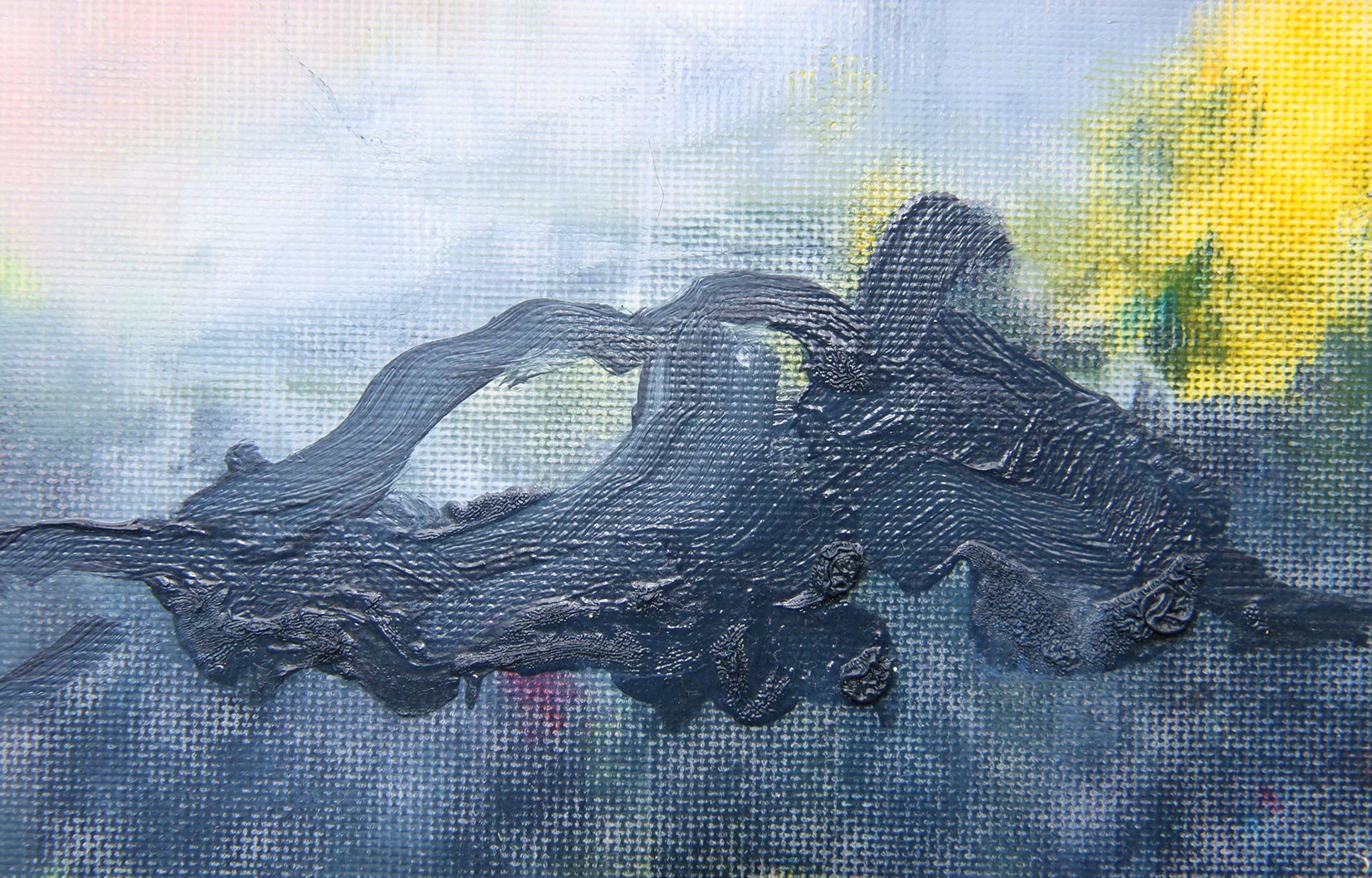 Coastal Study 3