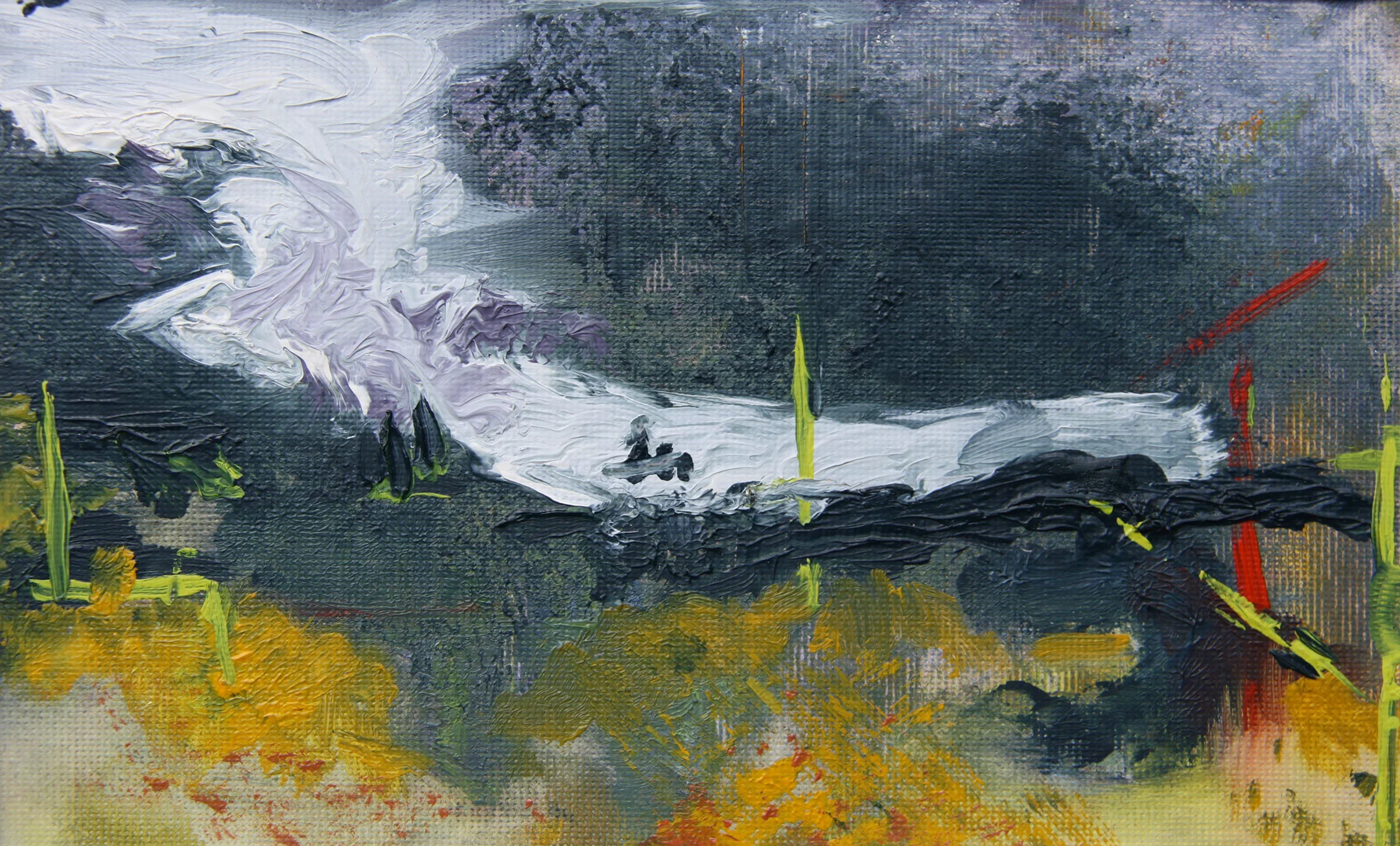 Coastal Study 4