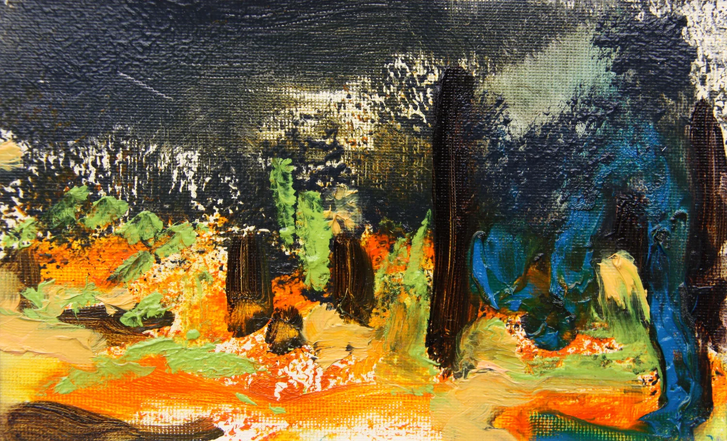 Coastal Study 8