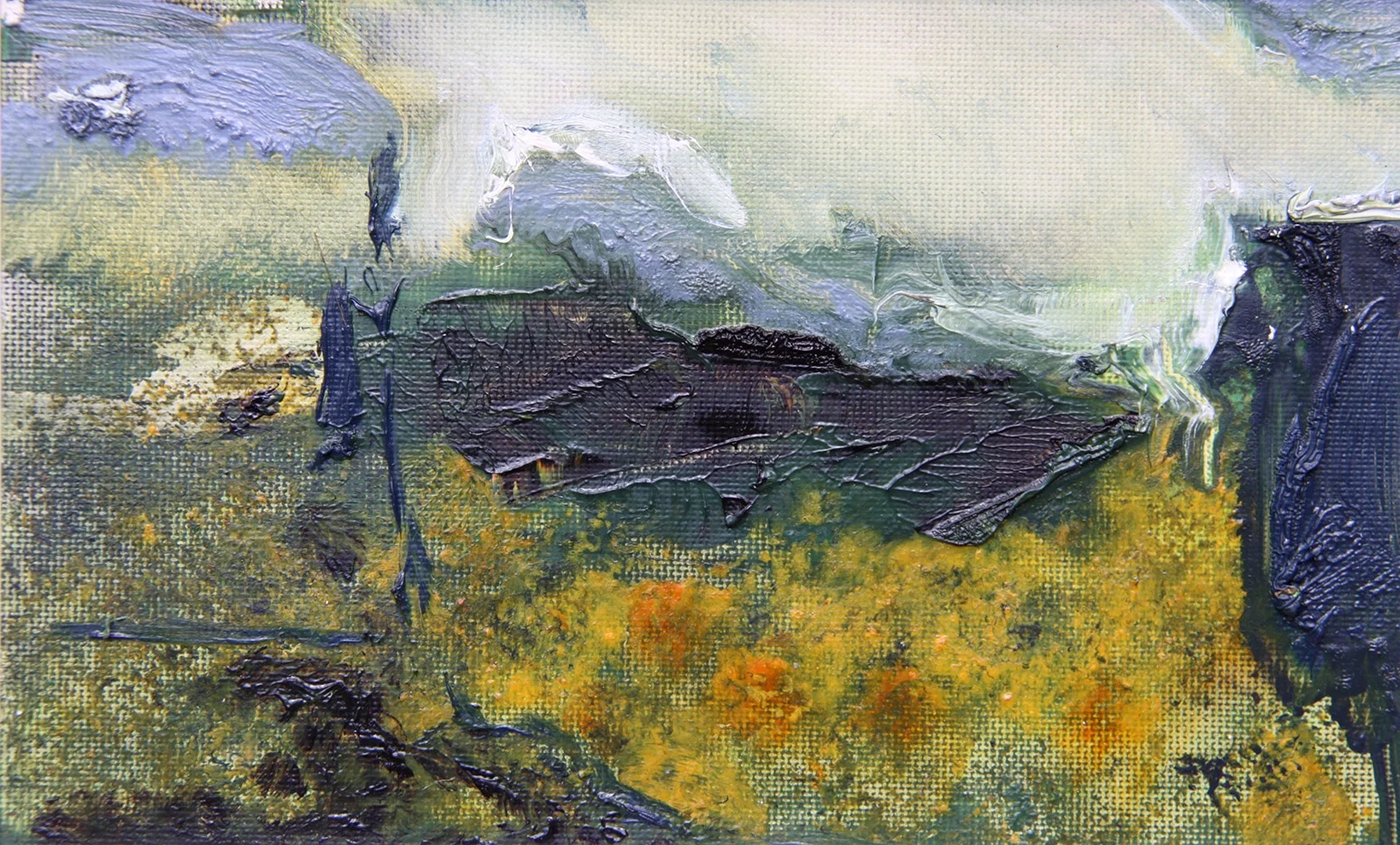 Coastal Study 9