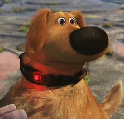 Dug the Dog. 