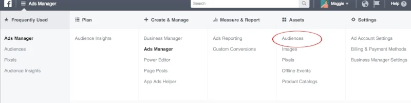 Visit the Audience section of Facebook ads manager. 