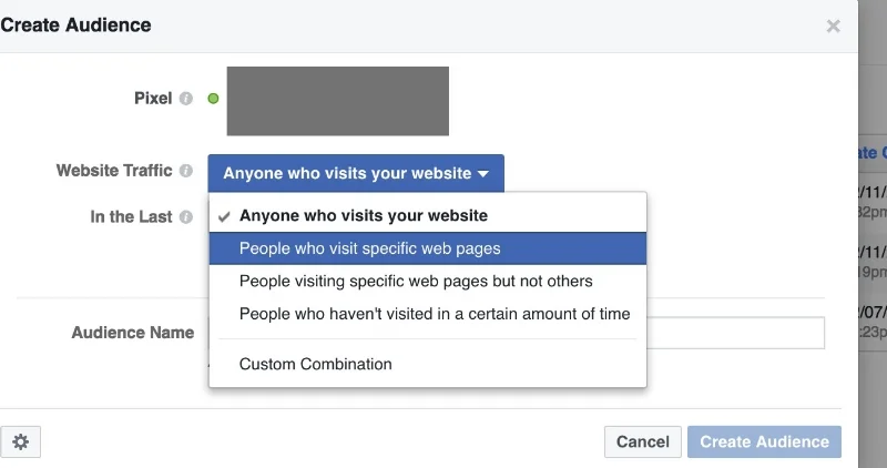Choose "People who visit specific web pages." 