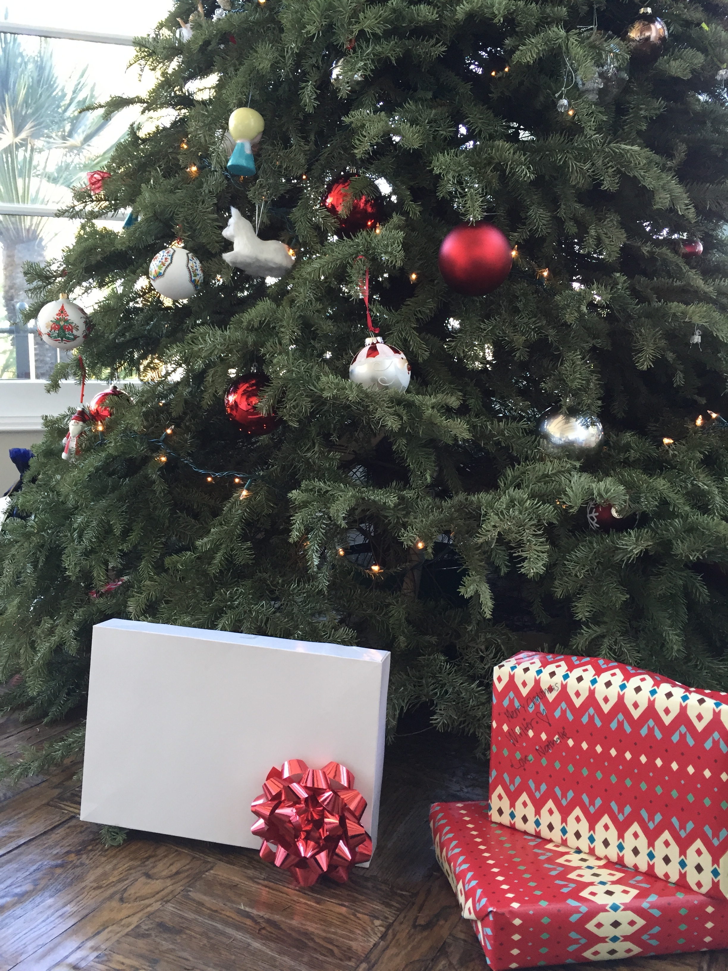 Our beautiful tree