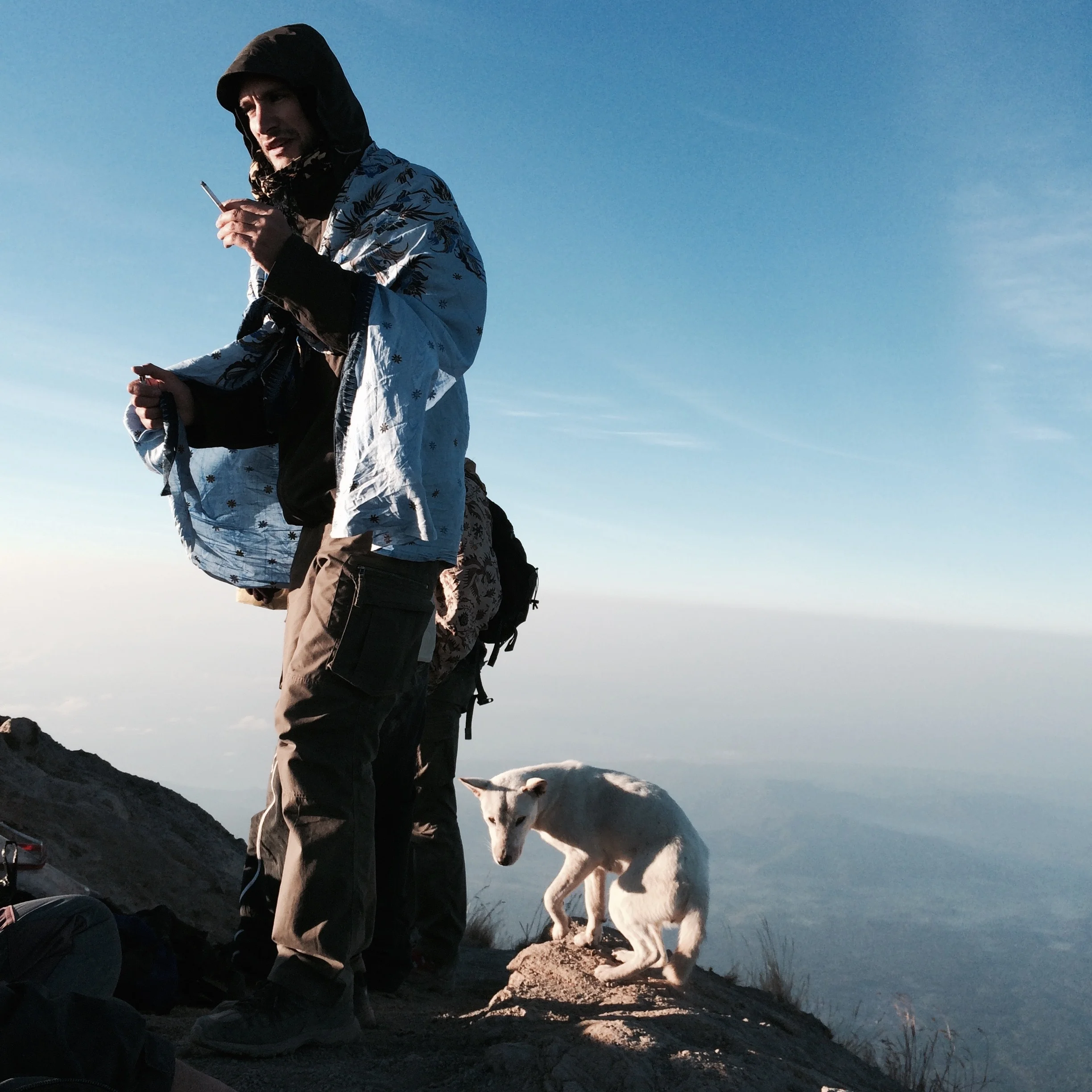 Hiker and white dog on summit