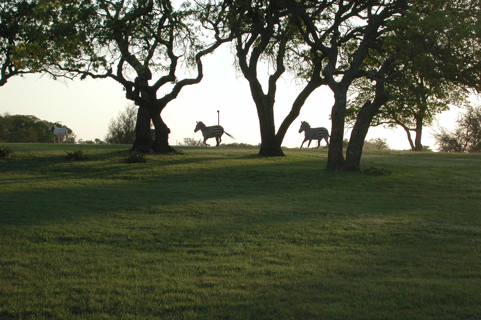 DSCN1253.JPG