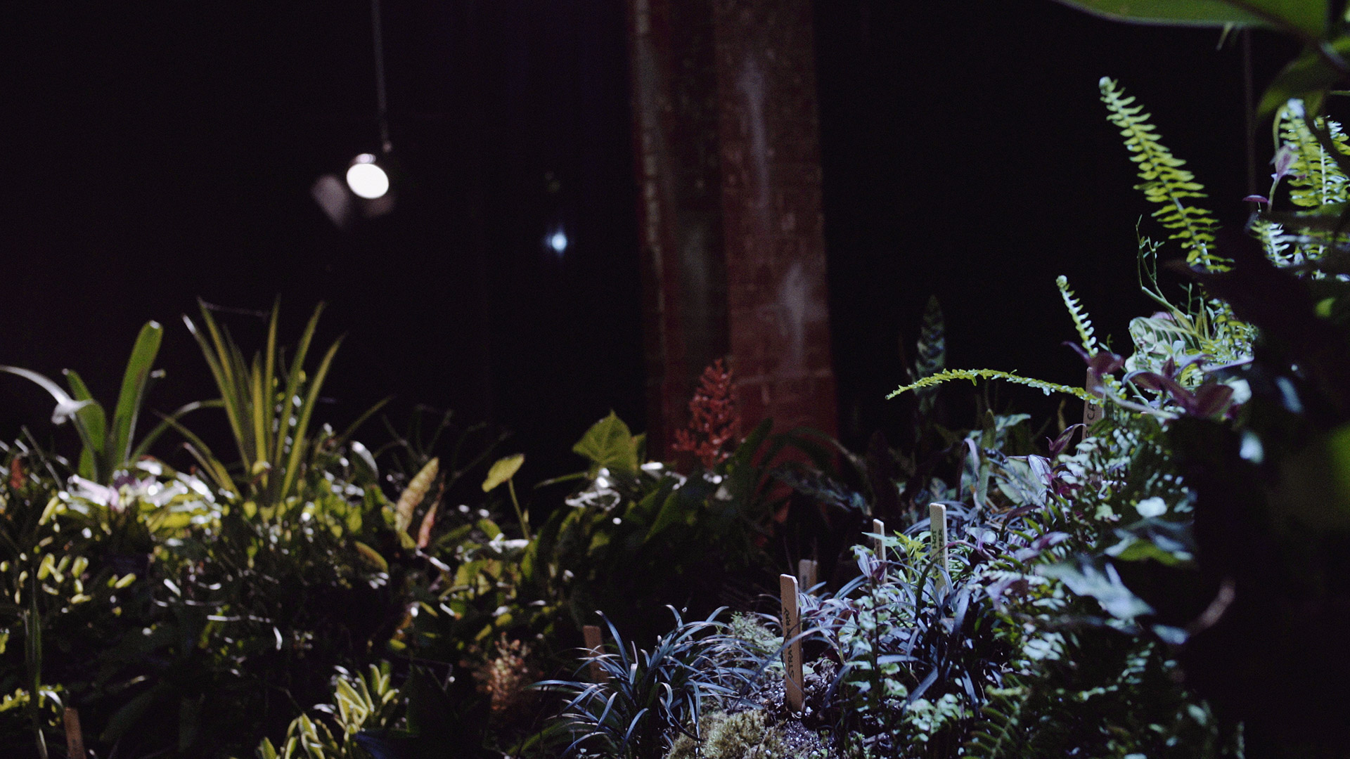 Built inside an abandoned market just two blocks from the site of the future Lowline, the Lowline Lab includes a series of controlled experiments in an environment mimicking the actual Lowline.