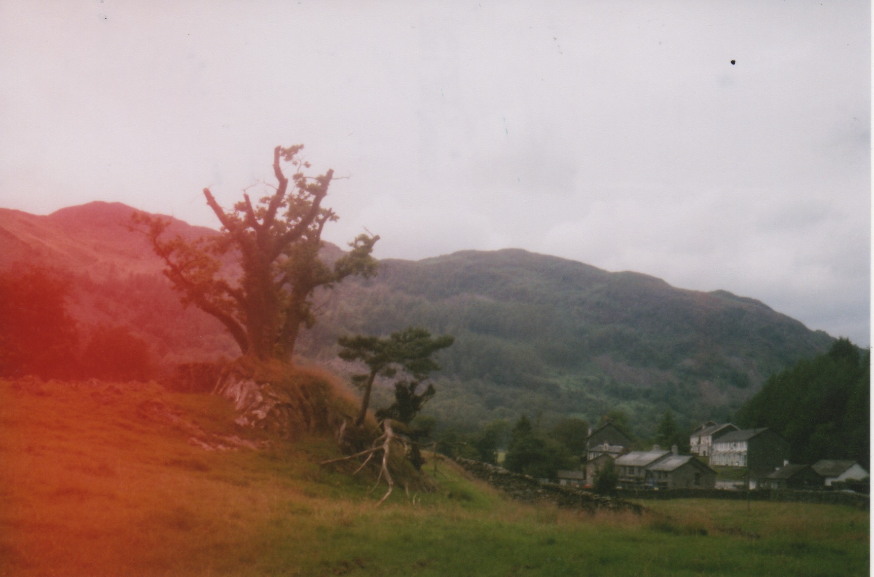 scan 12.jpeg