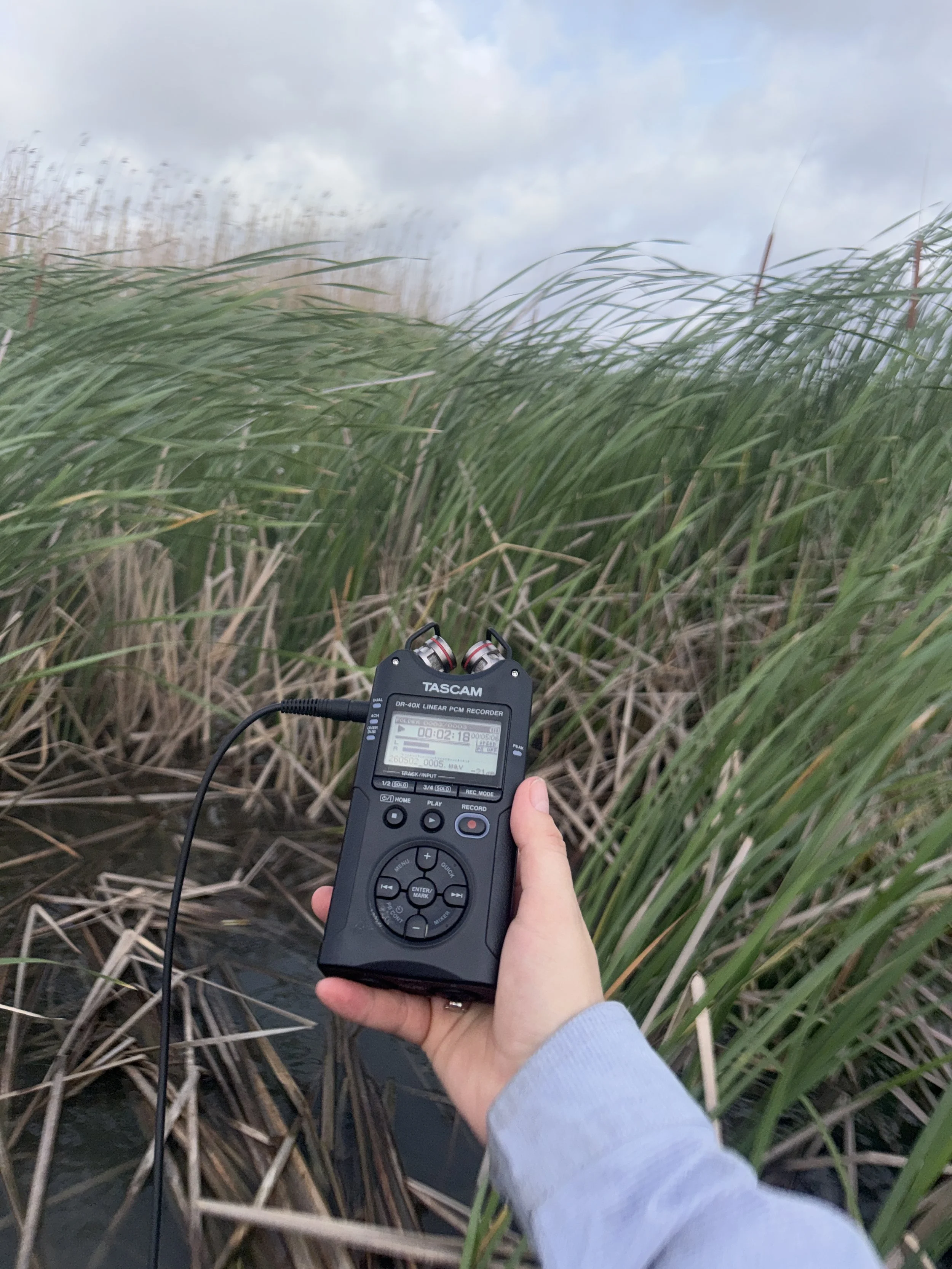 Soundscapes, listening, sonic presence