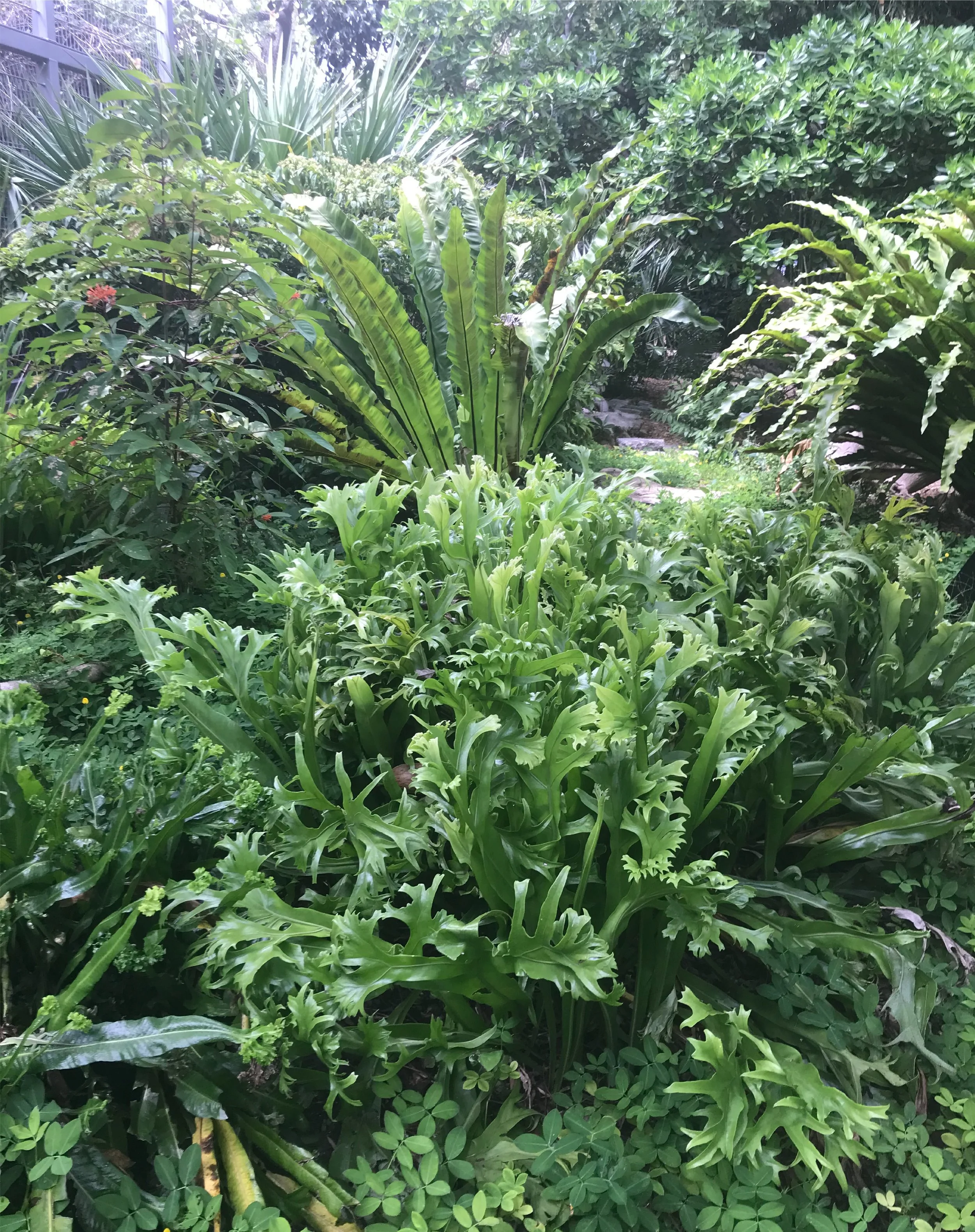 19x24 collages second set-05.jpg