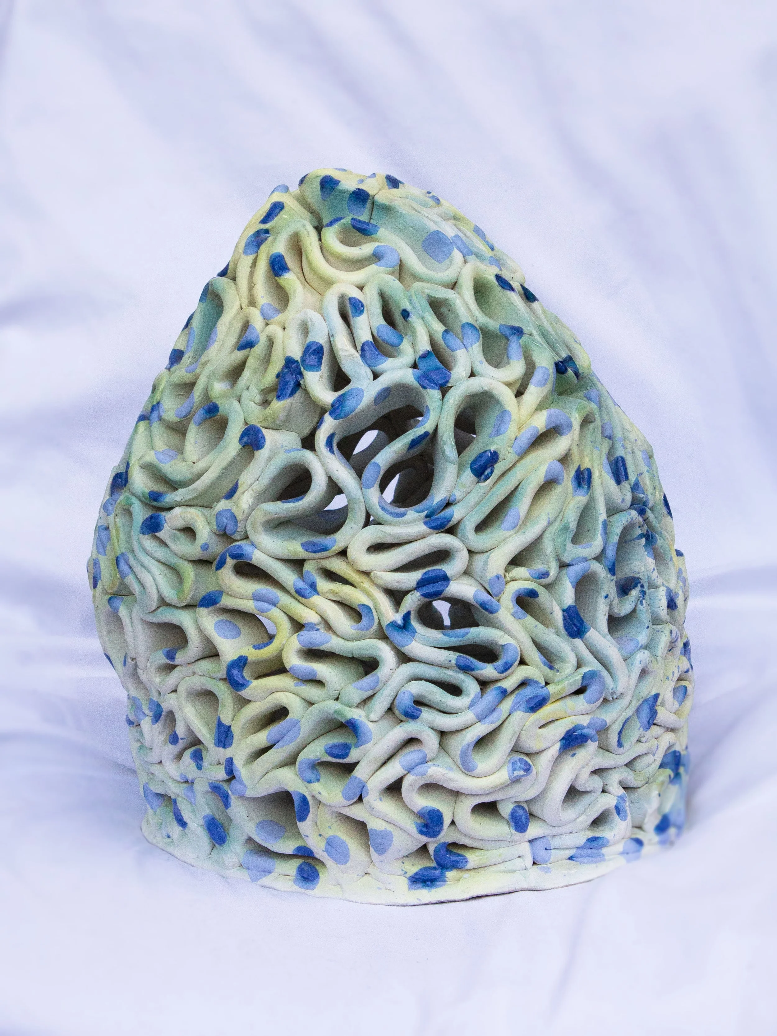 hollow seeds 02 2026.jpg