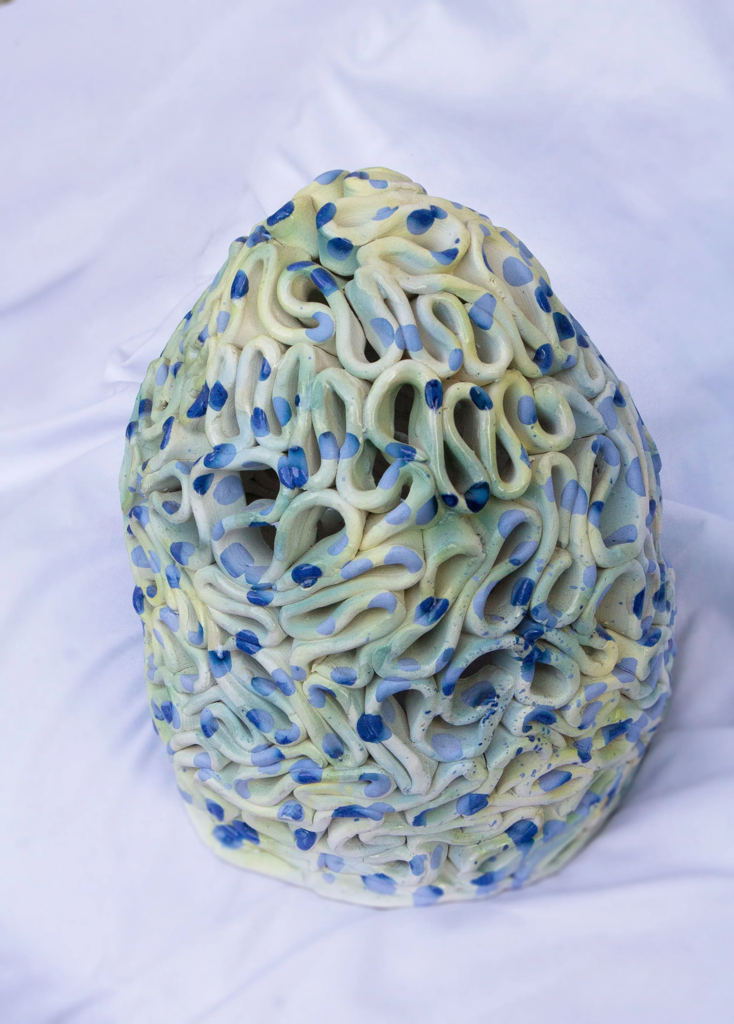 hollow seeds 03 2026.jpg