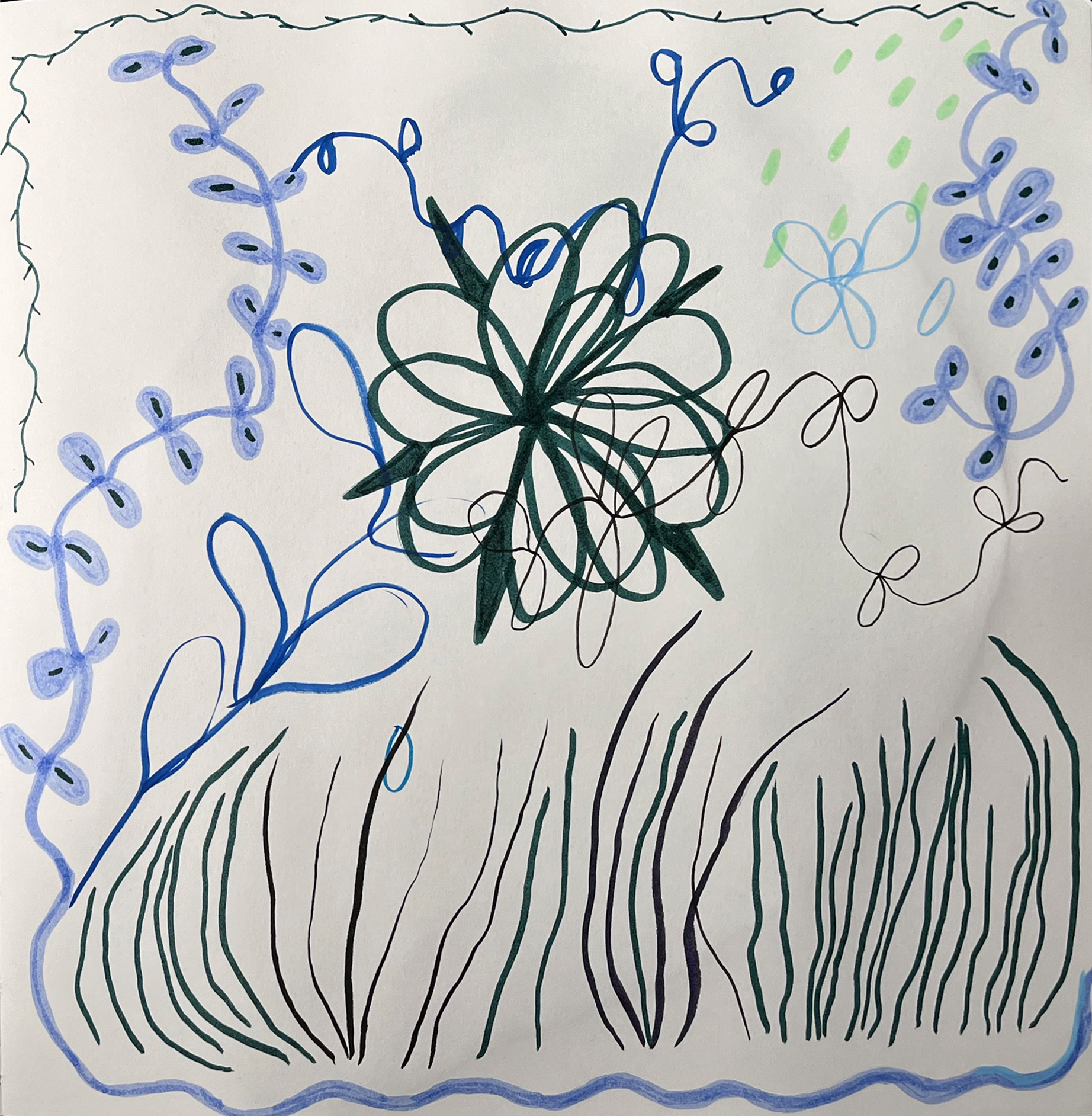 sketchbook botanical painting samples.png