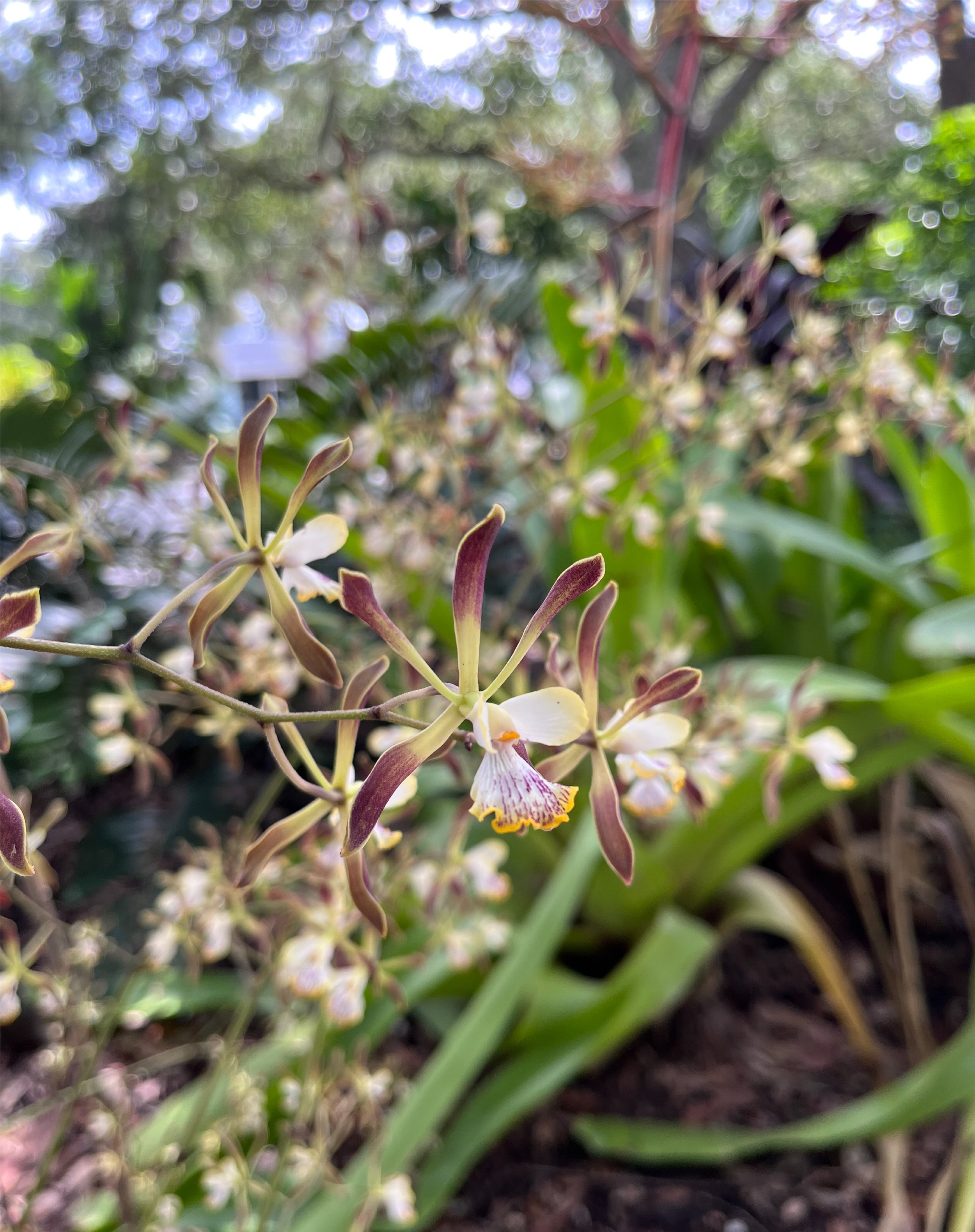 19x24 collages second set-06.jpg