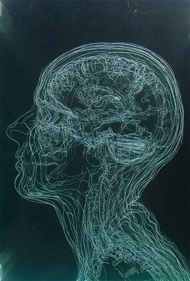 brains.jpg