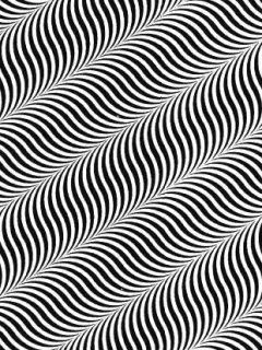 optic illusion.jpg