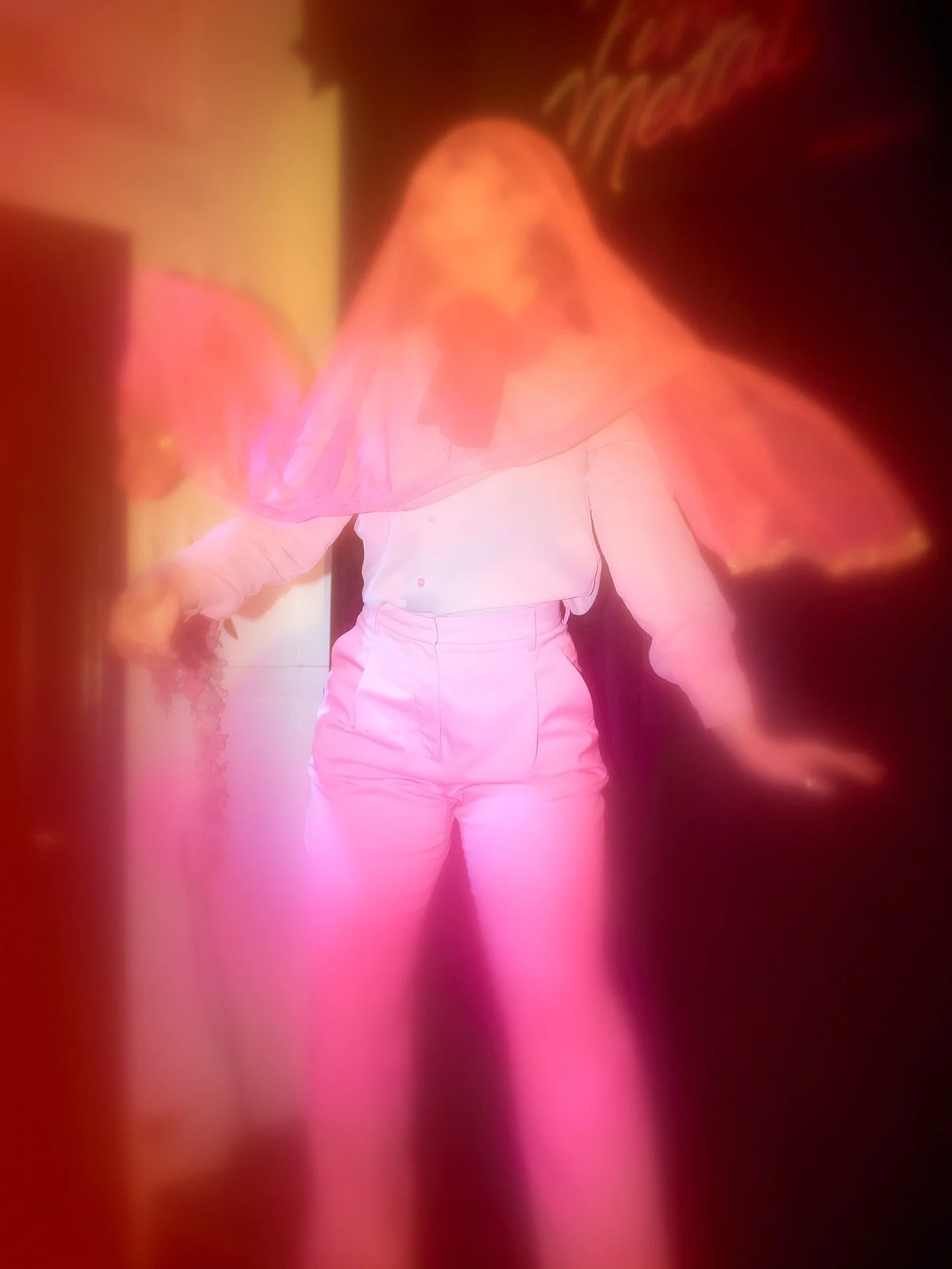 #archive  #pinkmetal #june24 #2025 #brooklyn #bushwick #newyorkcity #burlesque #burlesqueshow