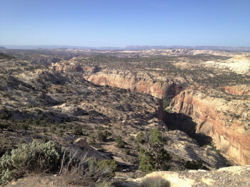 Calf-Creek is in that canyon. 