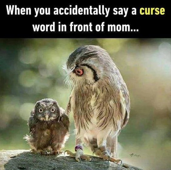 funny3.jpg