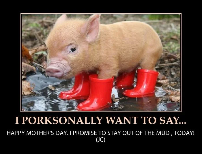 momday4.jpg