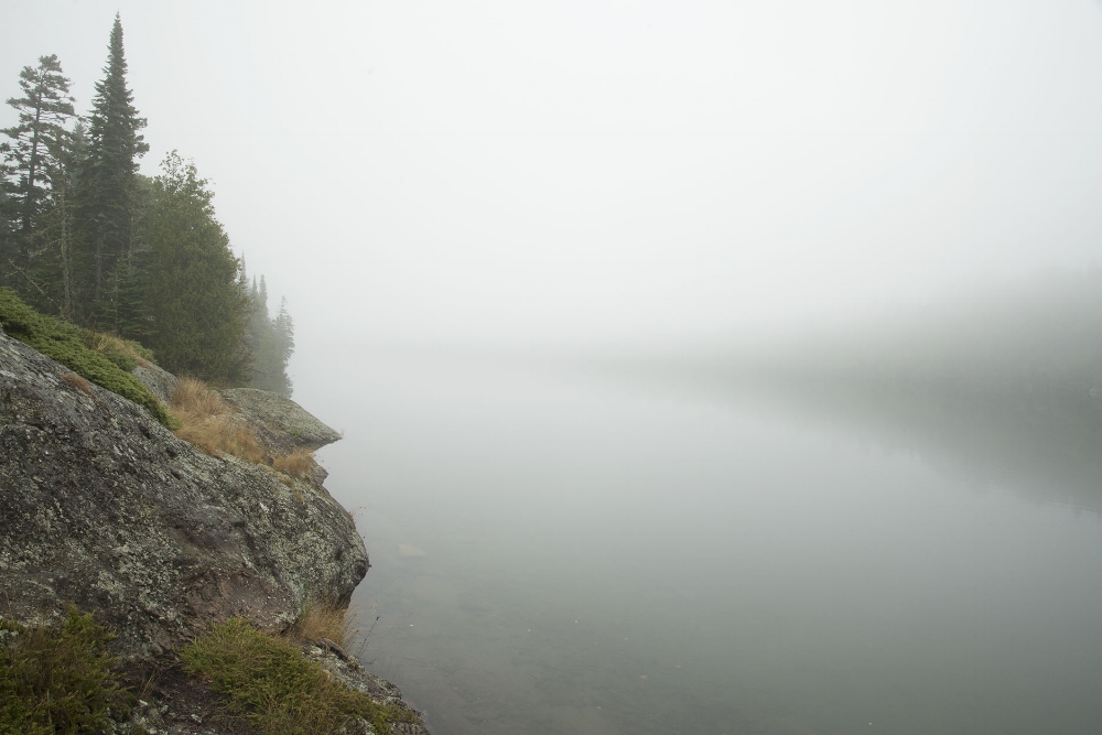 Foggy Cove