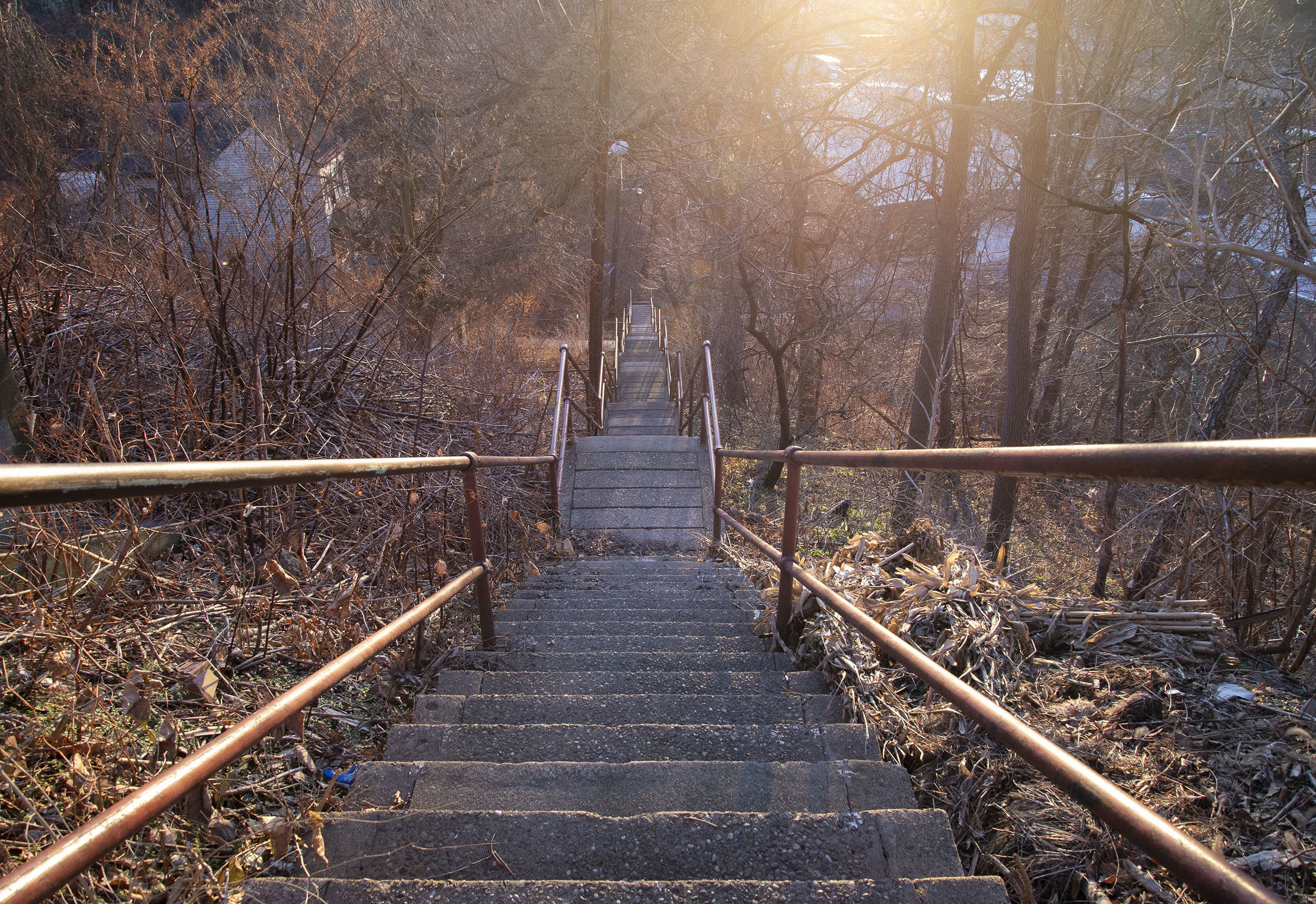 Stairs, Early Winter on the North Side