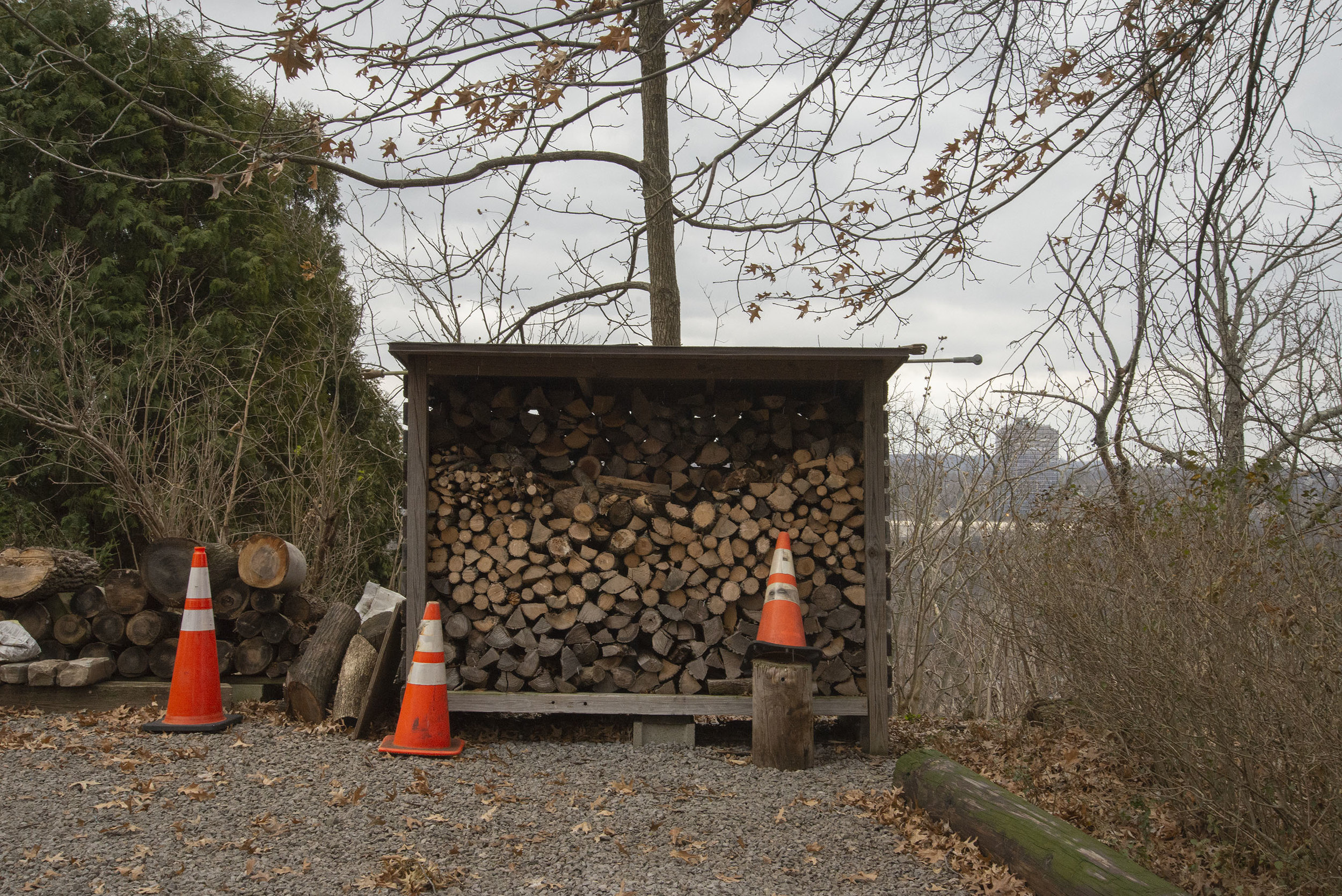Wood Pile above the Allegheny