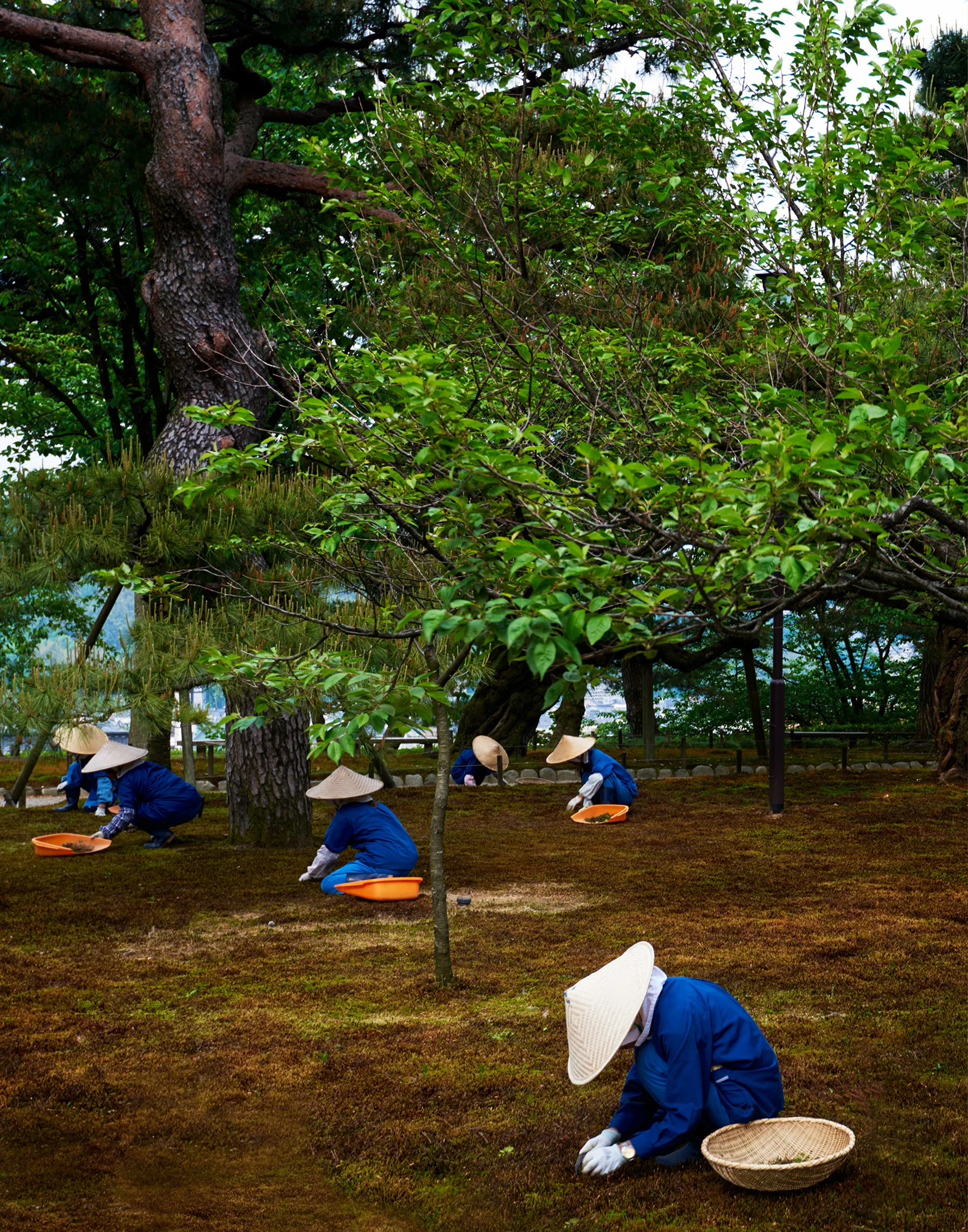 guillermo_cano_japan_travel-0129.jpg