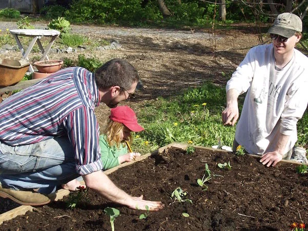 Planting community gardens in Sitka, Alaska.