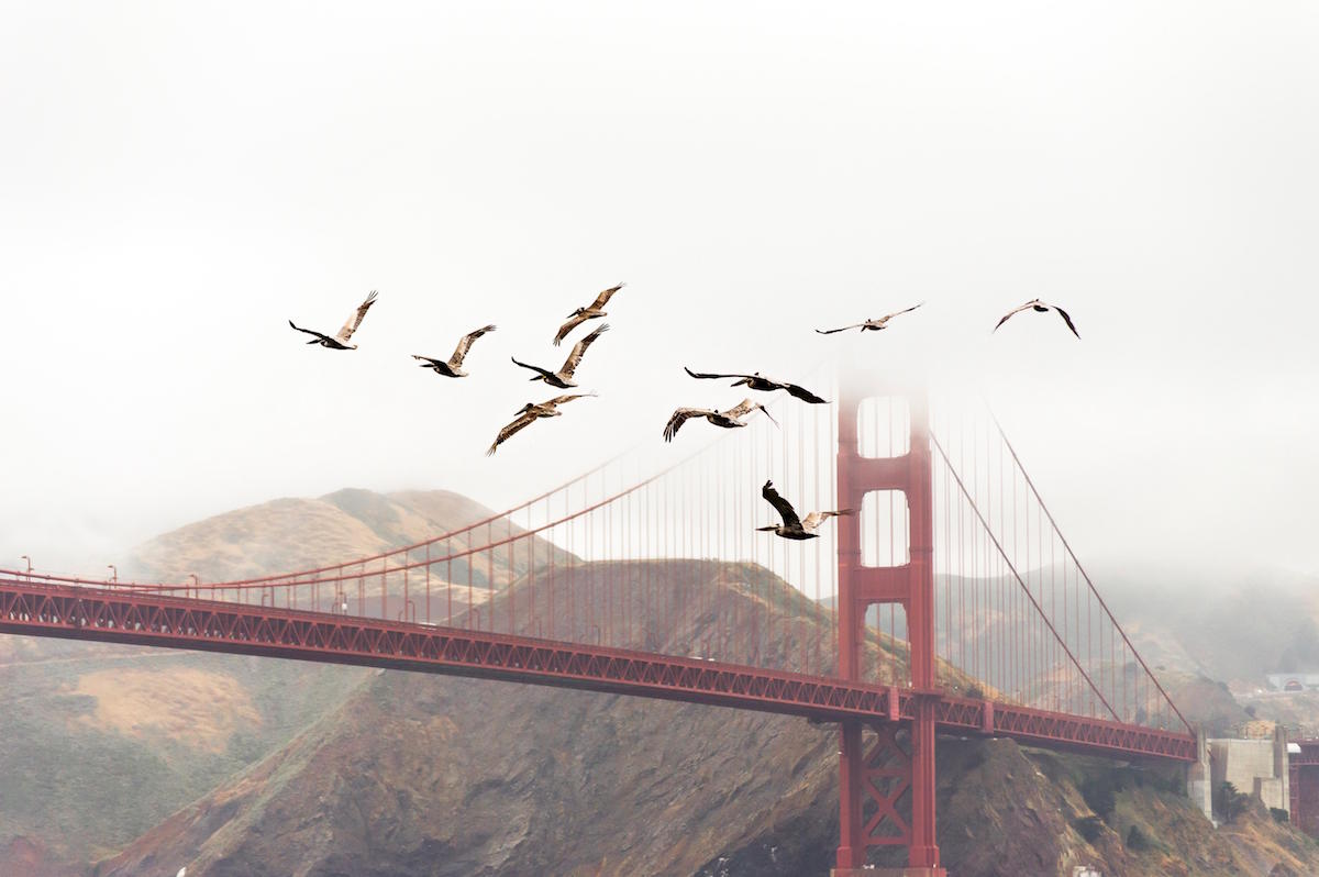 San Francisco for Pay Gap.jpg