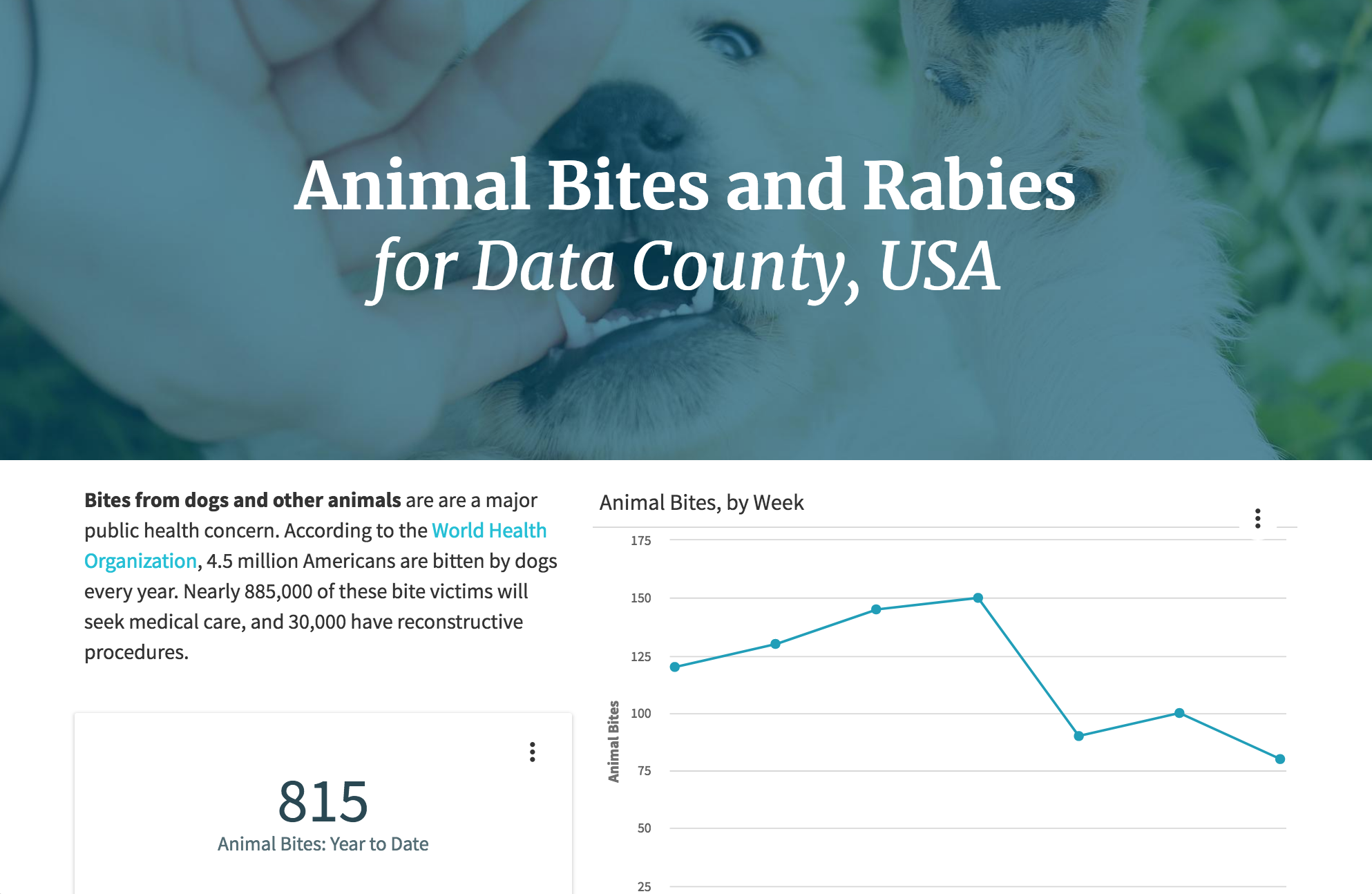 Data Story Animal Bites and Rabies Report Template.png