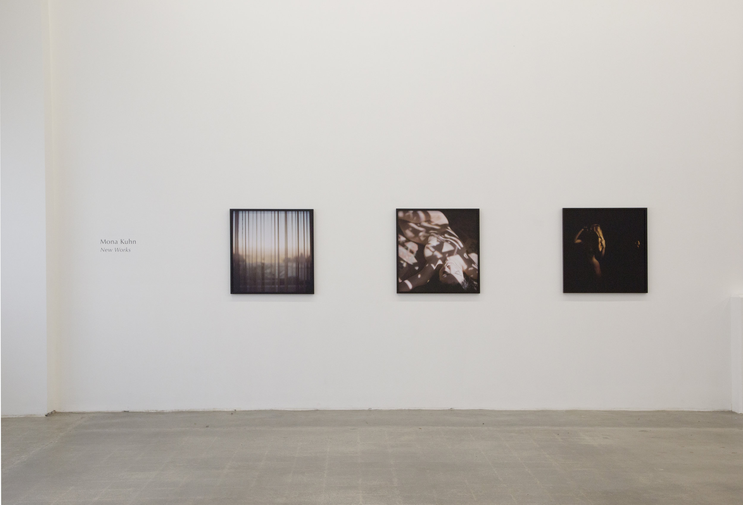  Installation view Mona Kuhn:  New Works,  April 6 - May 14, 2016 at EUQINOM Gallery 