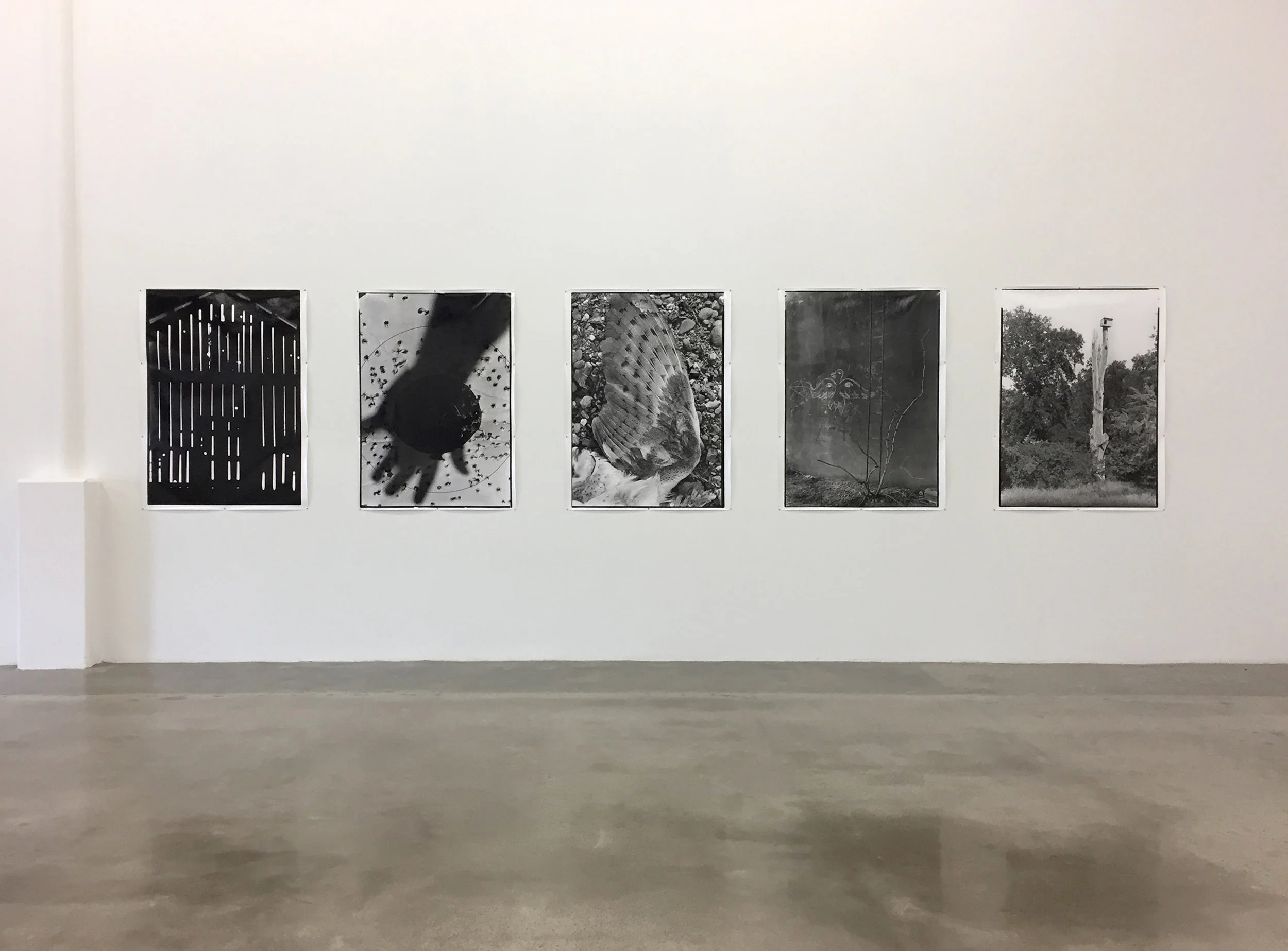 LUKAS FELZMANN: A road home can be triumphant and nondescript March 3 - April 15, 2017 PRESS RELEASE