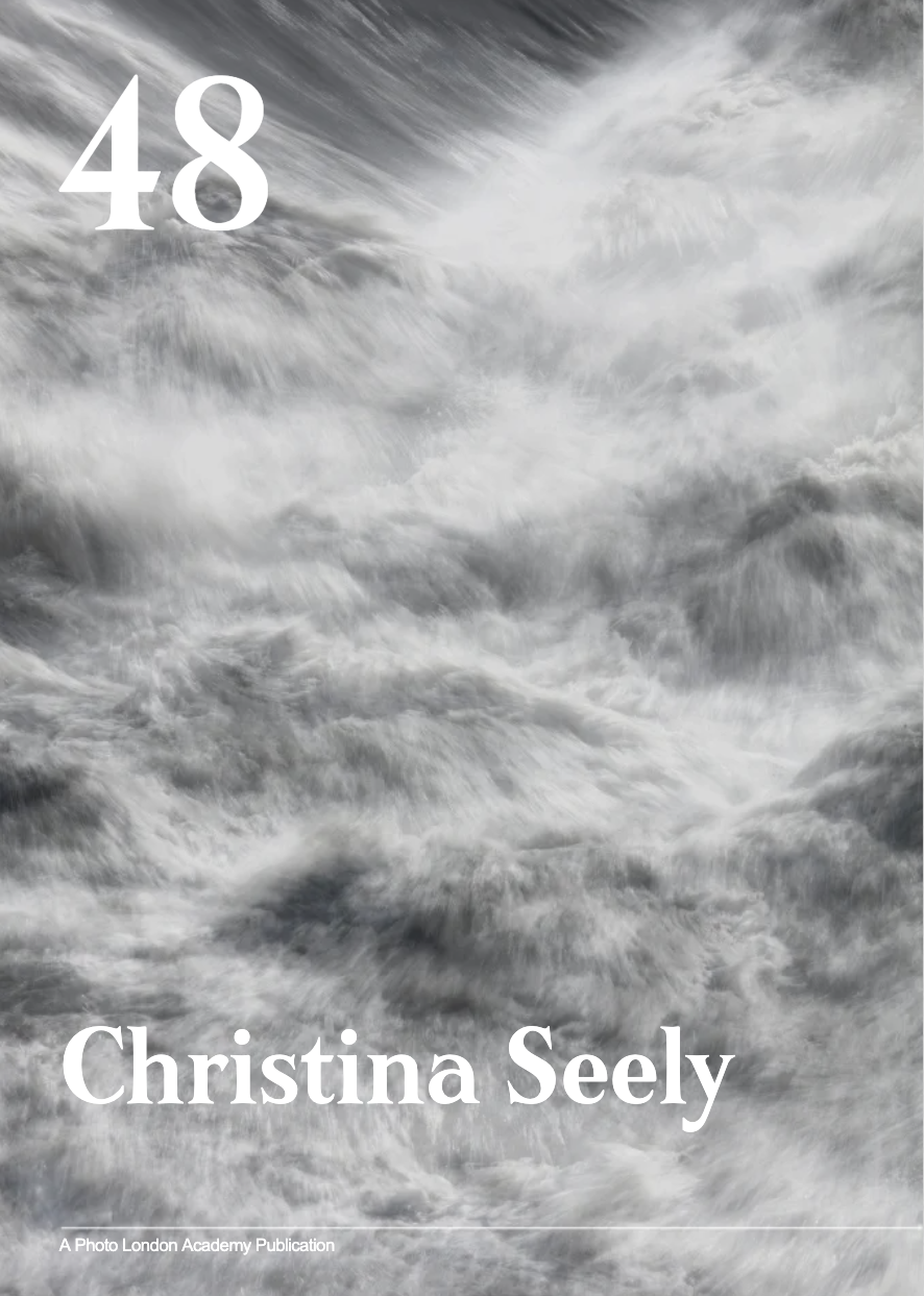 CHRISTINA SEELY | New Press