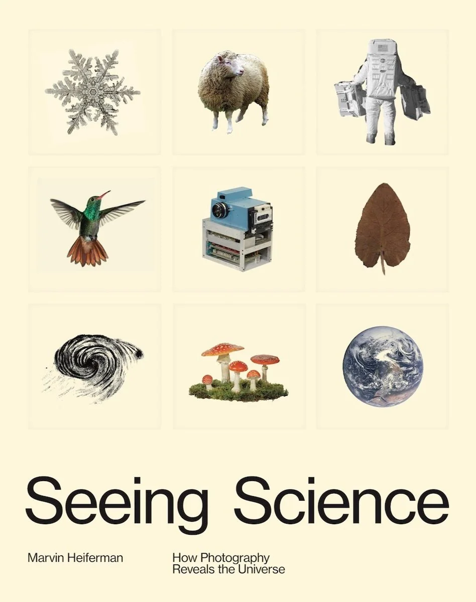 ERIC WILLIAM CARROLL | Publication