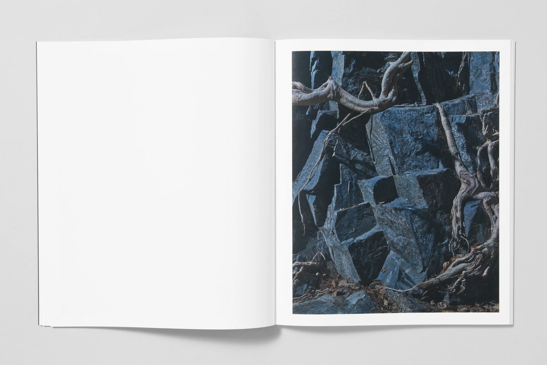 MICHAEL LUNDGREN | New Press