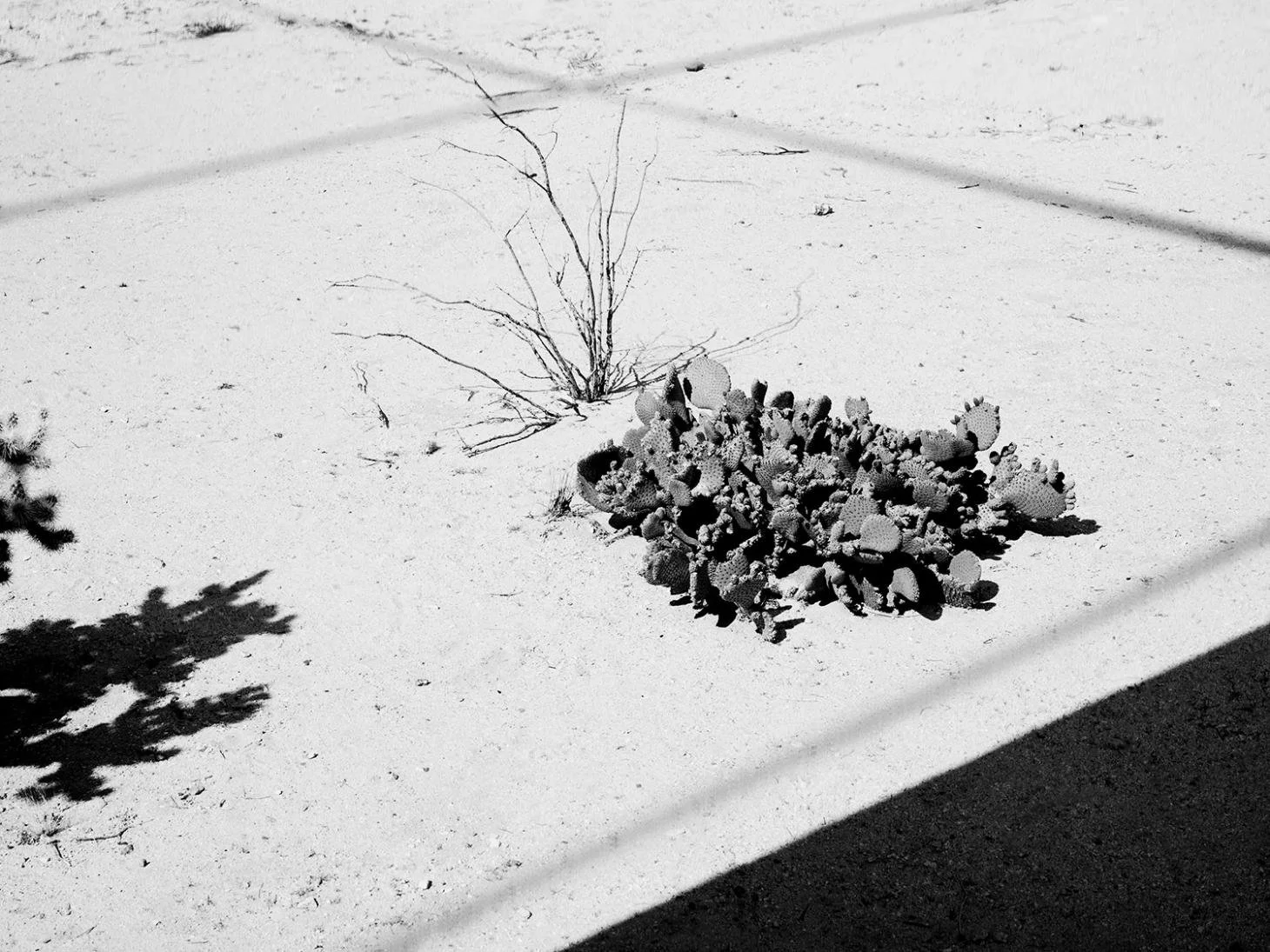 MONA KUHN | New Press