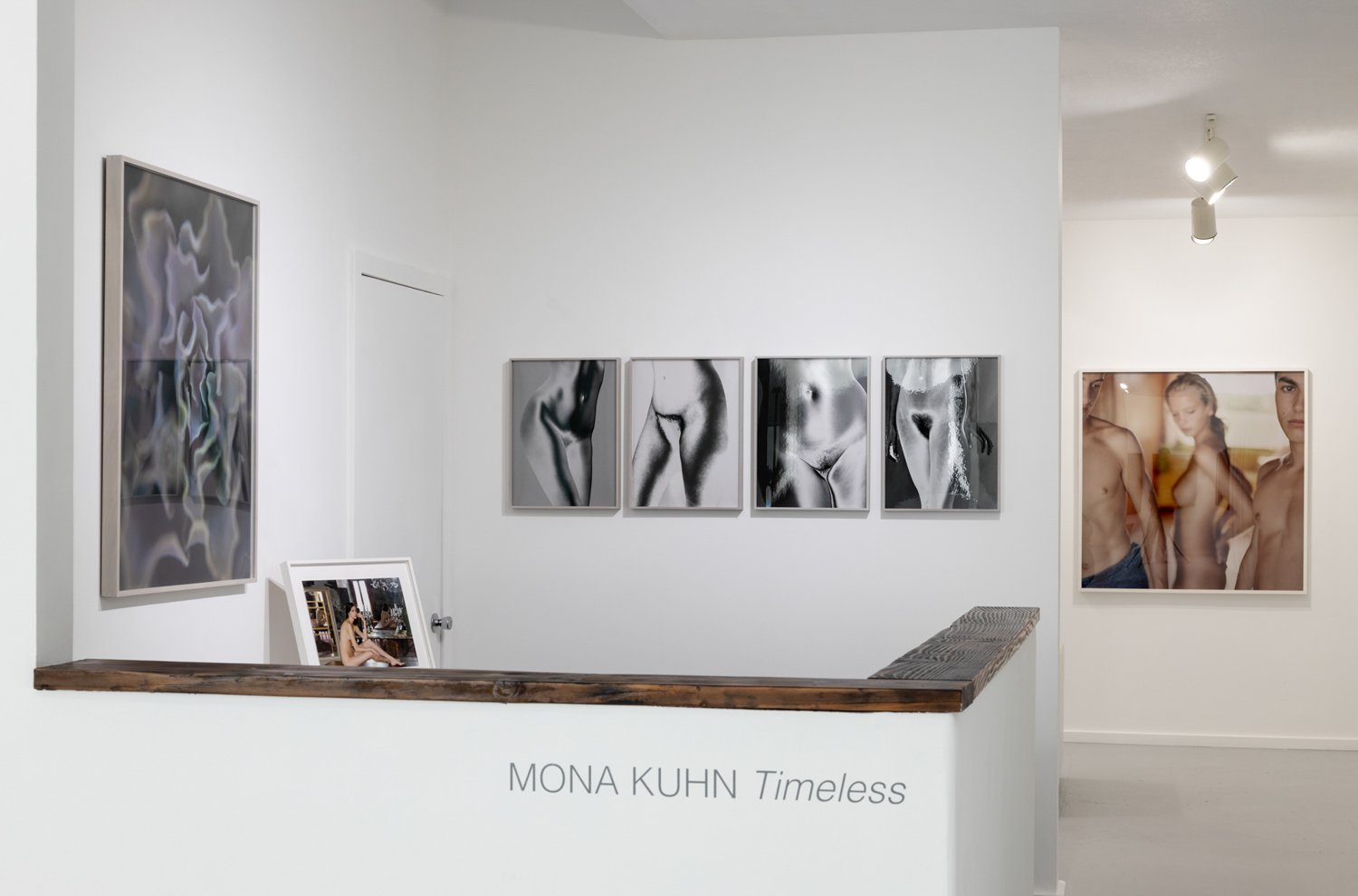 Mona Kuhn_Timeless_#02_Euqinom Gallery_©Henrik Kam 2022_edited.jpg