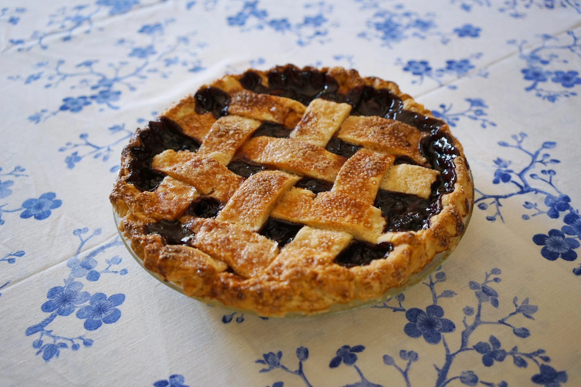  JONA FRANK  Cherry Pie   Archival Pigment Print with UV Matte Lamination 27 x 36 in Edition of 3  Additional Available Sizes: 20 x 24, Edition of 5 40 x 50 in, Edition of 2   INQUIRE  