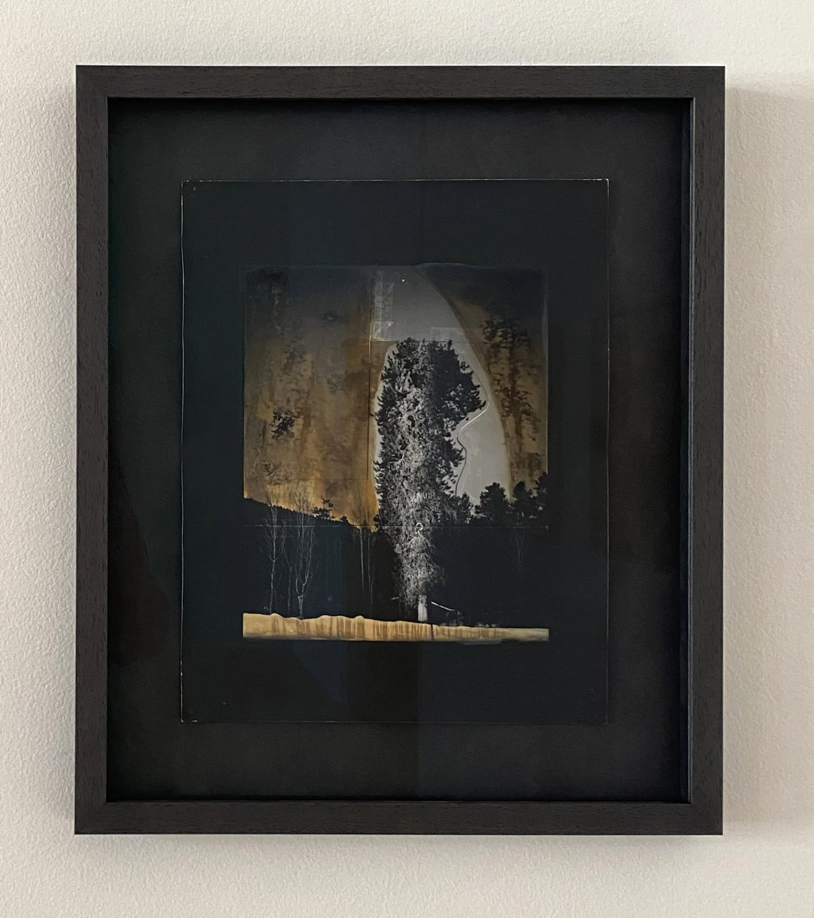 AWR_Frontyard Pine_framed.jpg