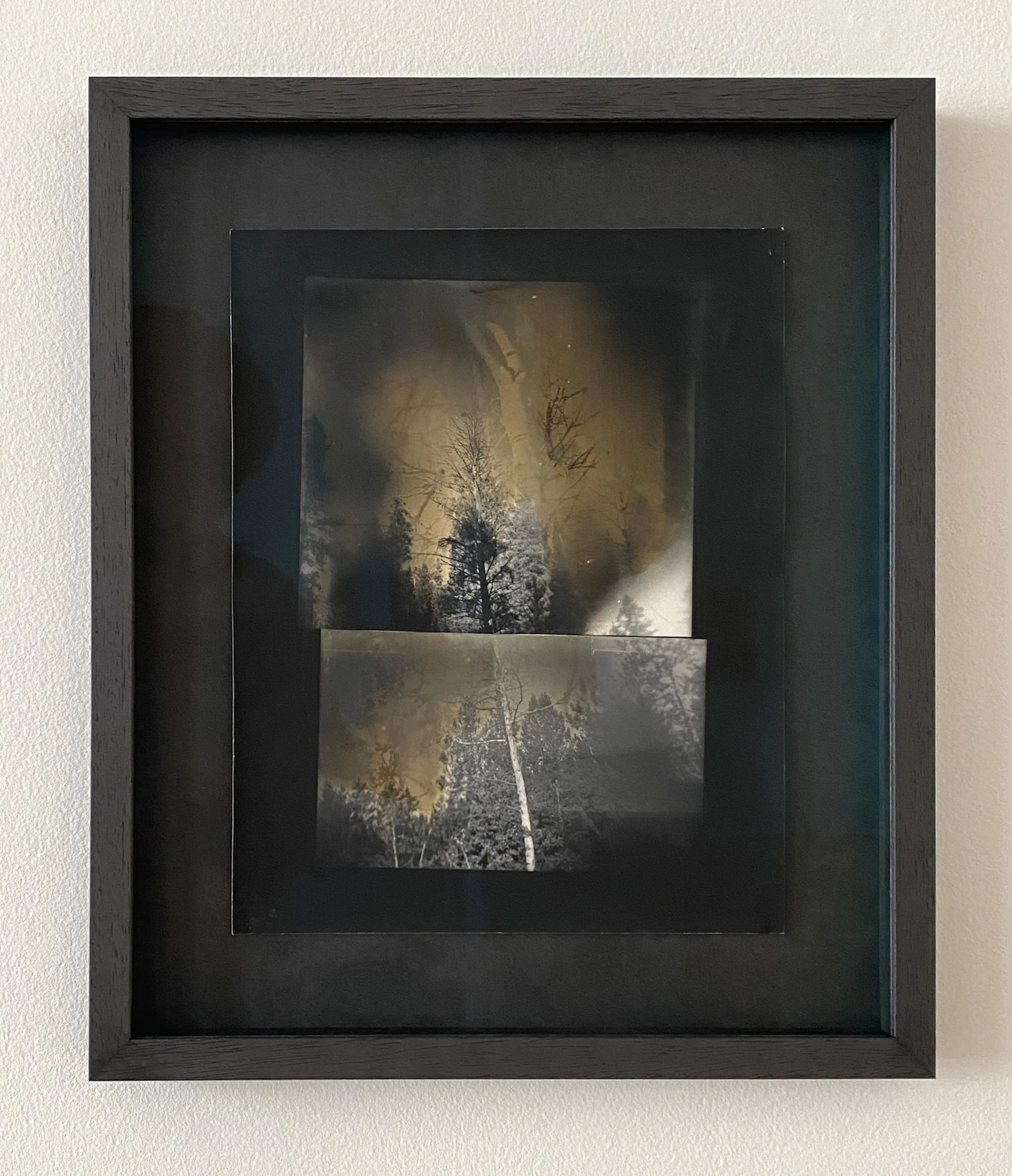 AWR_Pole Canyon, Victor, Idaho_framed.jpg