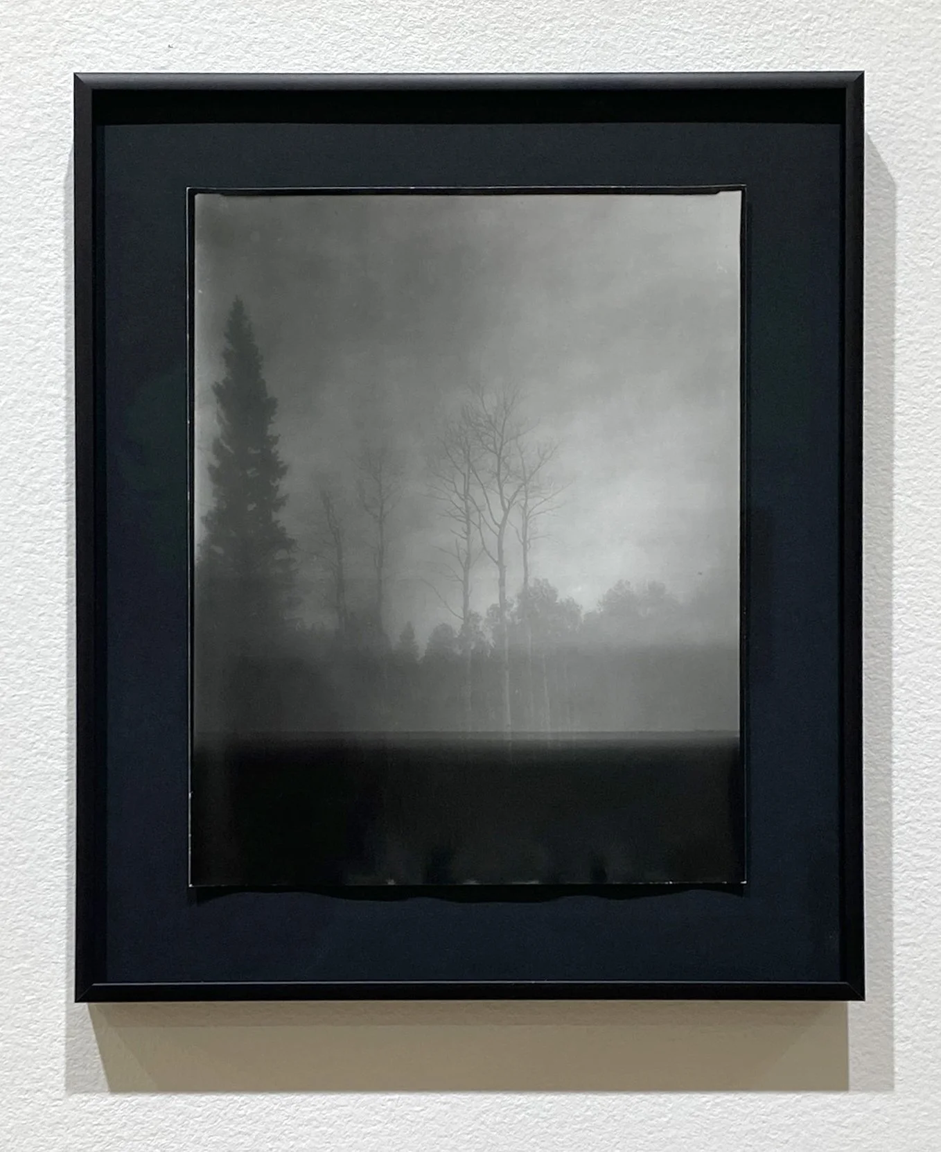 AWR_Three Aspens, Centennial Valley, Montana_10x8_framed.jpg