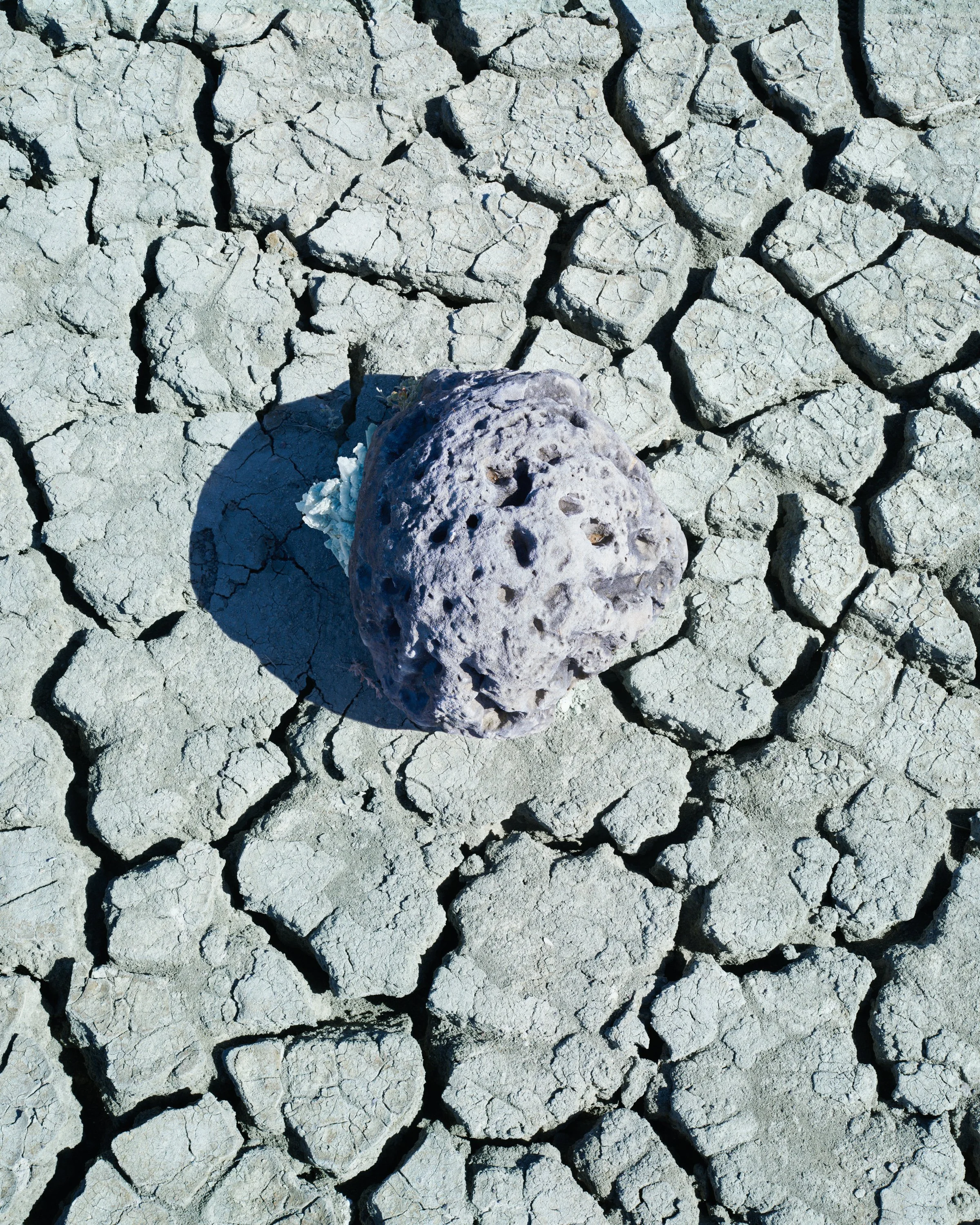 Lundgren_CoralandCrystalonDisiccatedMud_40x32.jpg