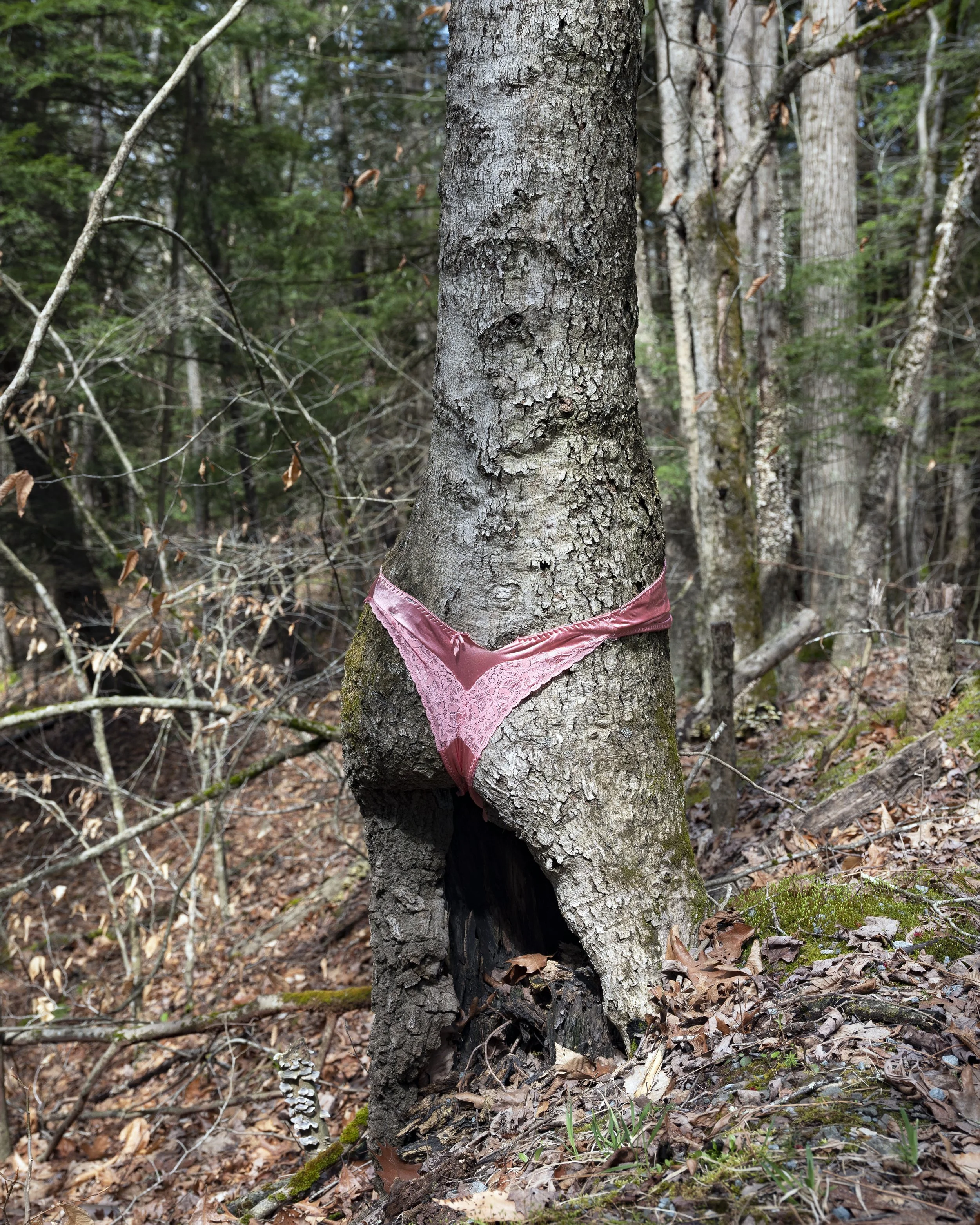 BreaSouders_Tree_Panties.jpg